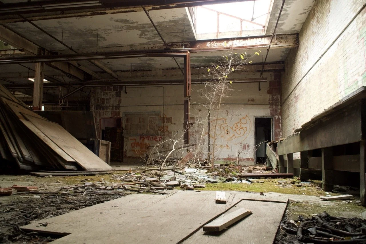 An abandoned, dilapidated indoor space with debris, broken wood panels, graffiti on the walls, and a small tree growing in the middle.