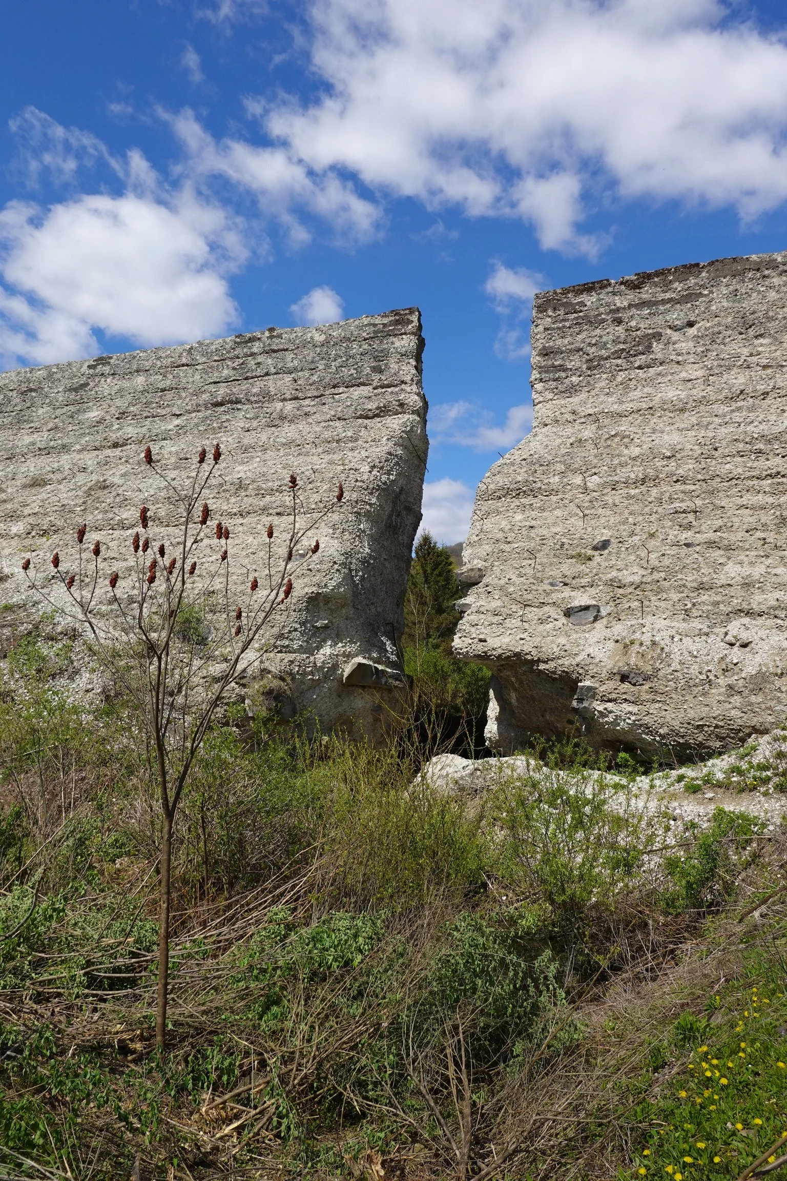 Large rock formations with split in the middle, surrounded by green bushes and dry plants, with a blue sky and scattered white clouds overhead.