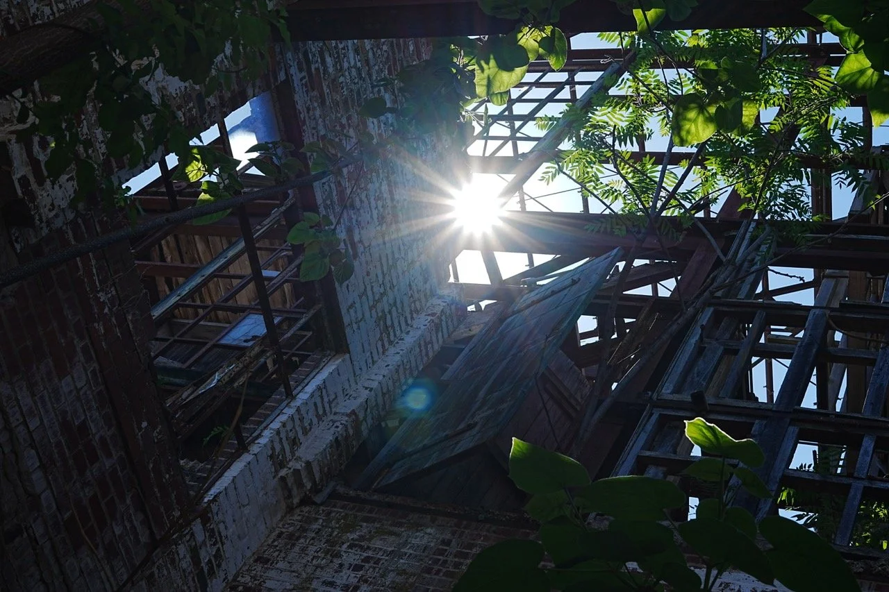The image shows a sunlit view of an open construction site with visible scaffolding, wooden beams, a brick wall, and green leaves from nearby plants, with sunlight shining through.