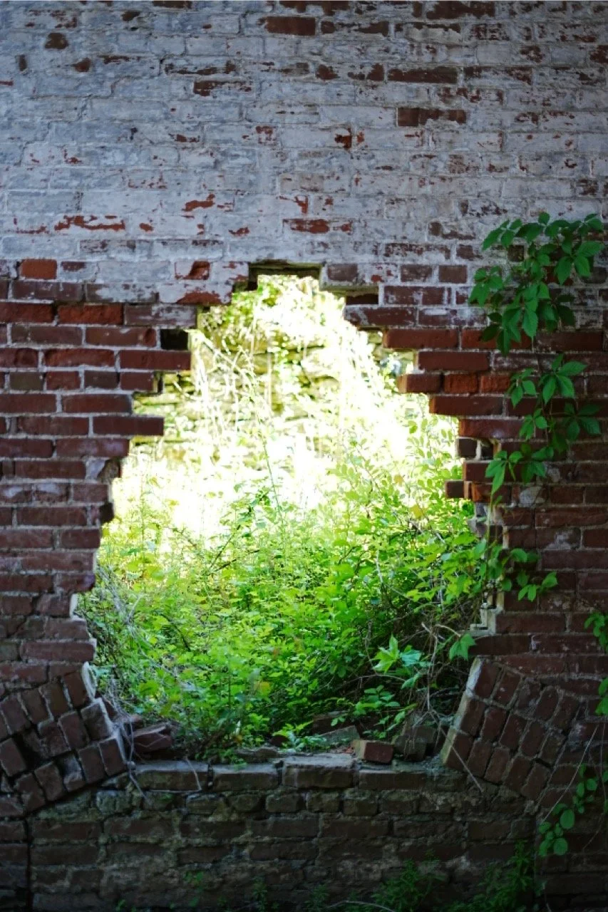 View through a large hole in a brick wall showing overgrown greenery and trees outside