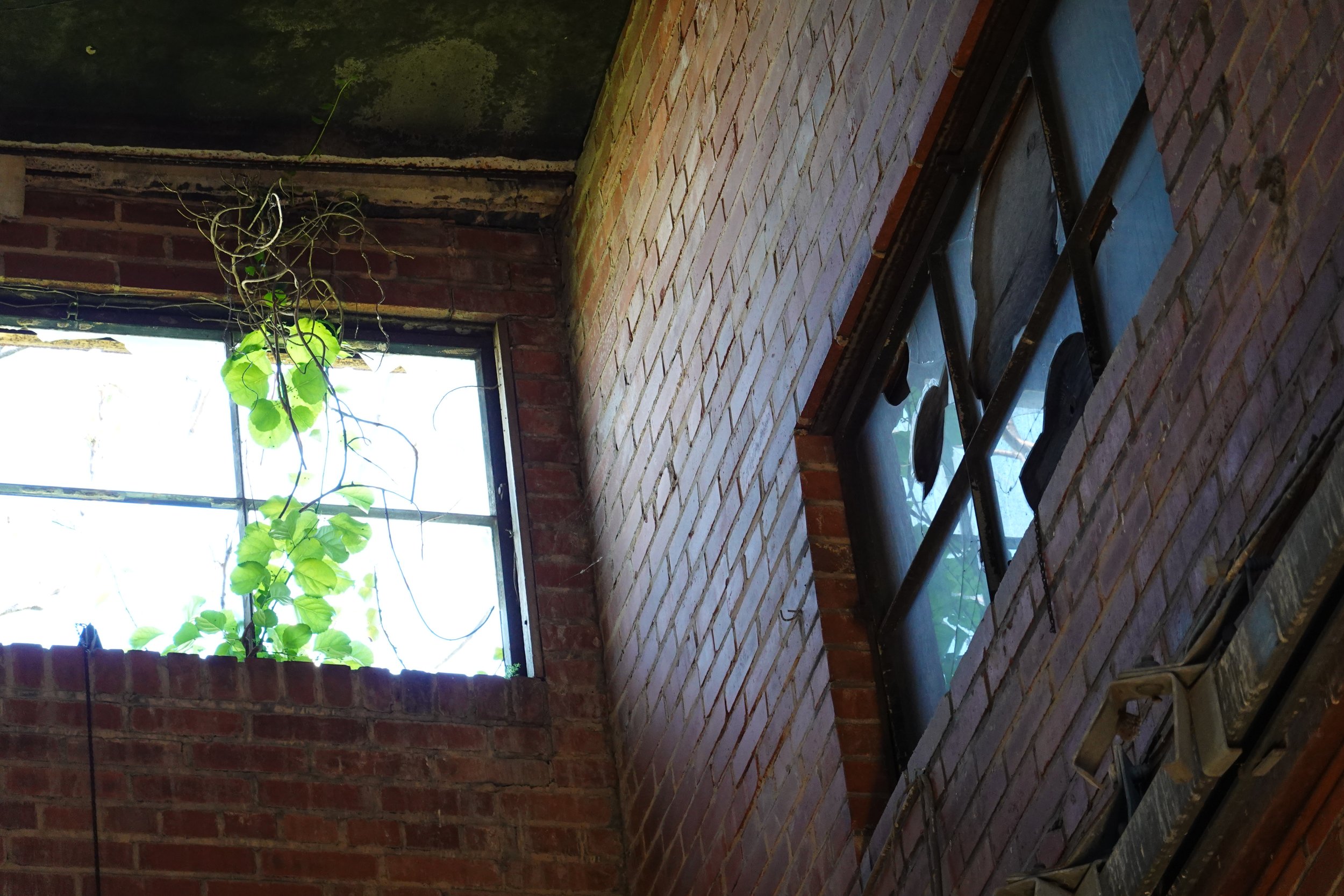 A brick wall interior with a window, some green houseplants hanging from the ceiling, and a metal chair or bench with a glass top.