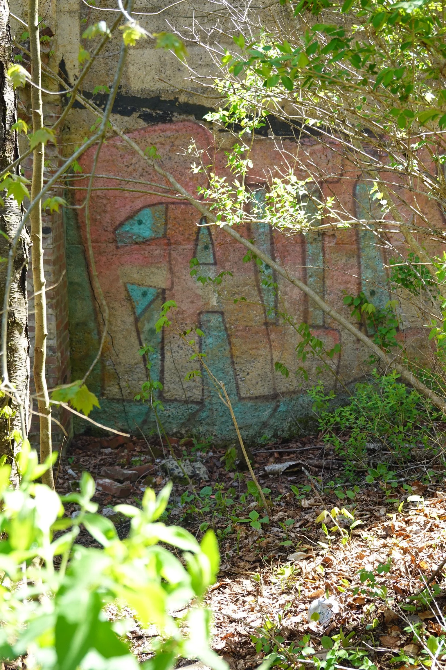 A weathered brick wall with graffiti partially obscured by overgrown bushes and fallen leaves on the ground.