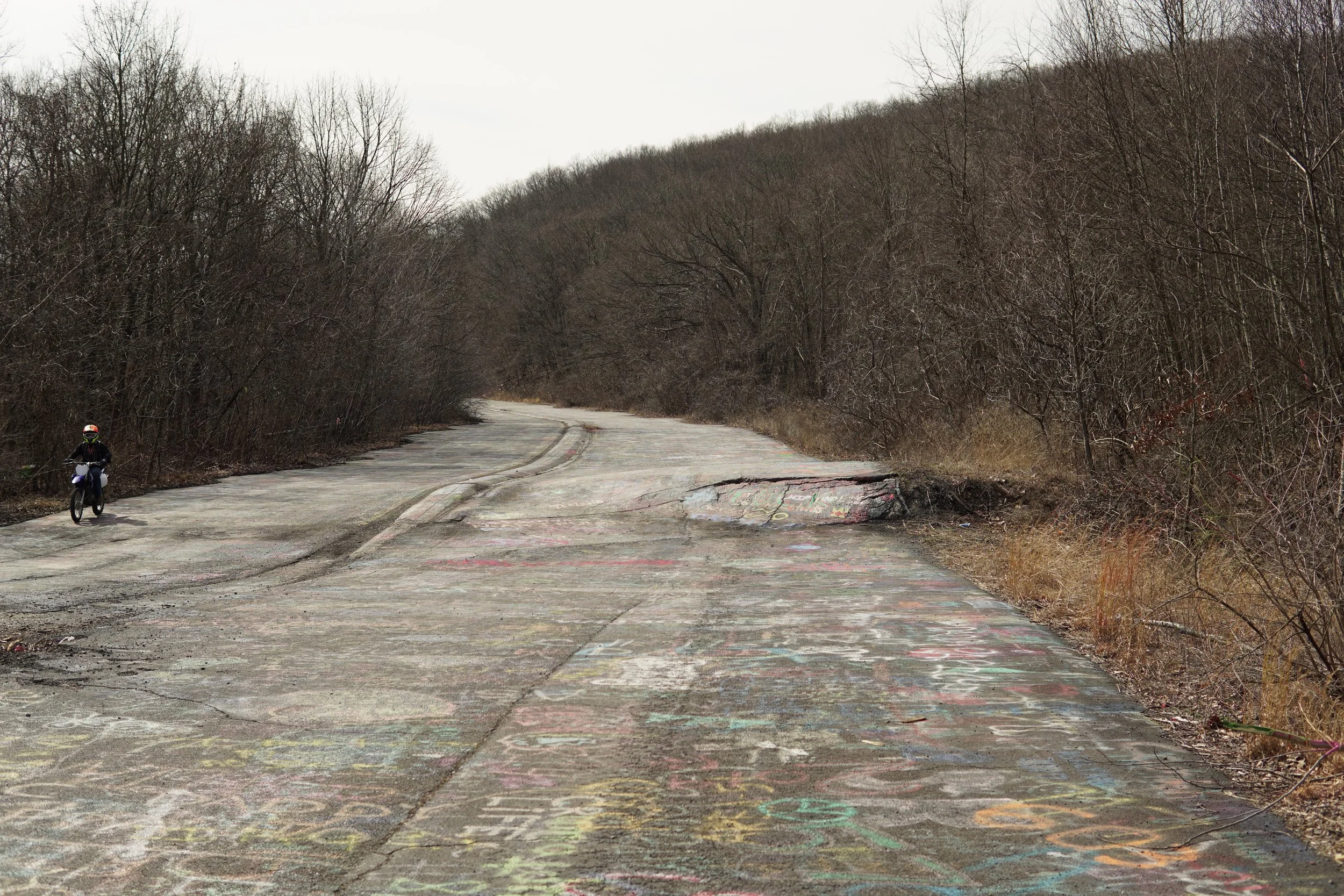A dirt road in a wooded area with leafless trees on both sides, a person riding a bicycle on the left side, and colorful chalk drawings on the road surface.