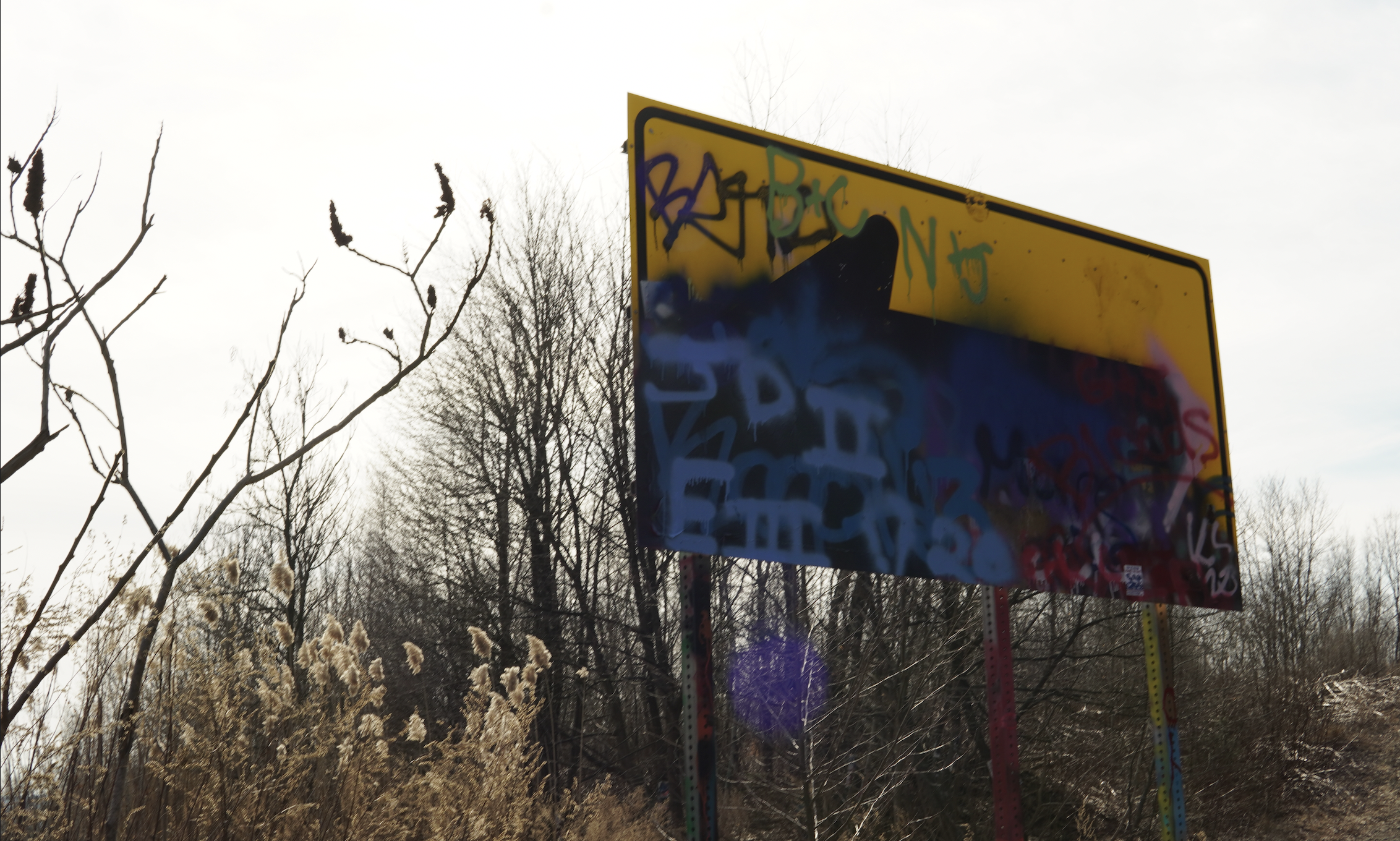 A graffiti-covered sign in a wooded area with leafless trees and tall dry grass, under an overcast sky.