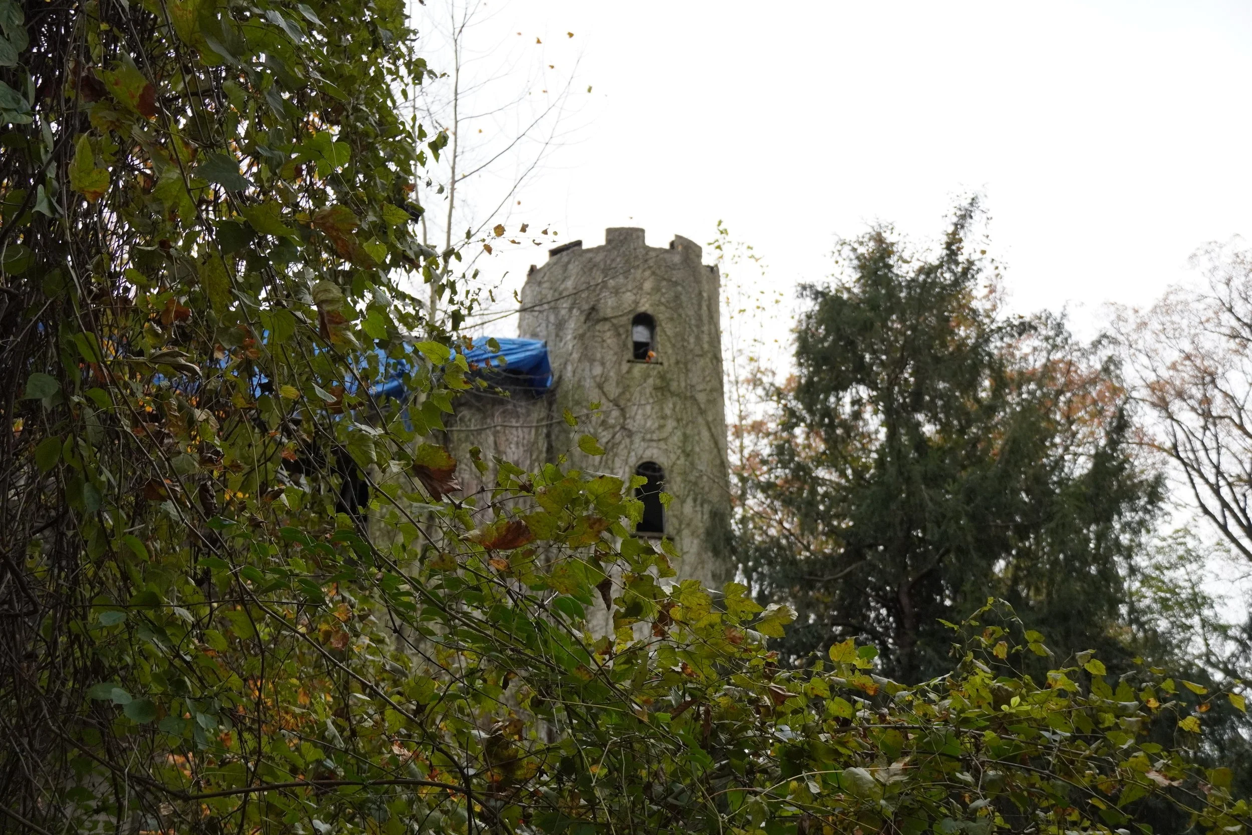 An old stone tower with narrow windows, partially covered by trees and foliage, with a cloudy sky in the background.