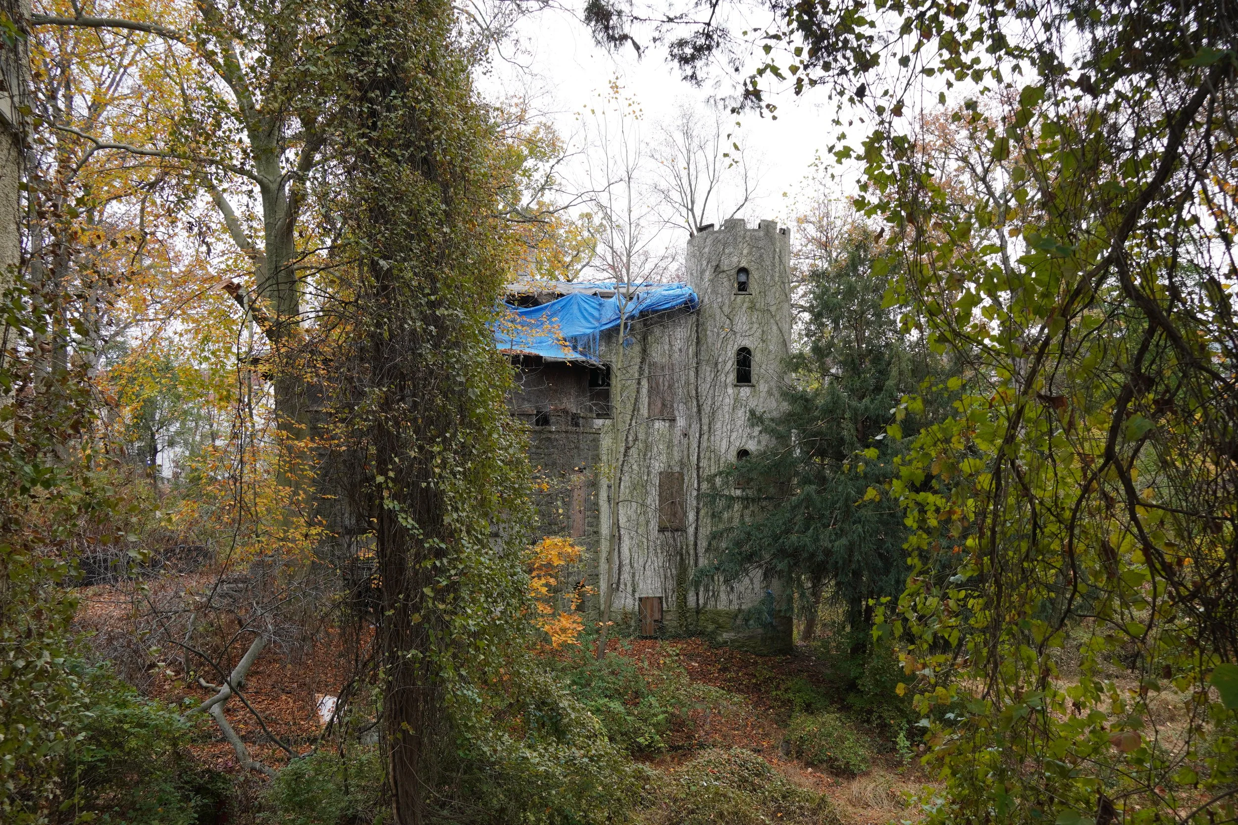 A medieval-style stone castle with a round tower is partially visible through dense trees with autumn foliage, some of which is covering the castle. The scene is set in a wooded area with overcast skies.