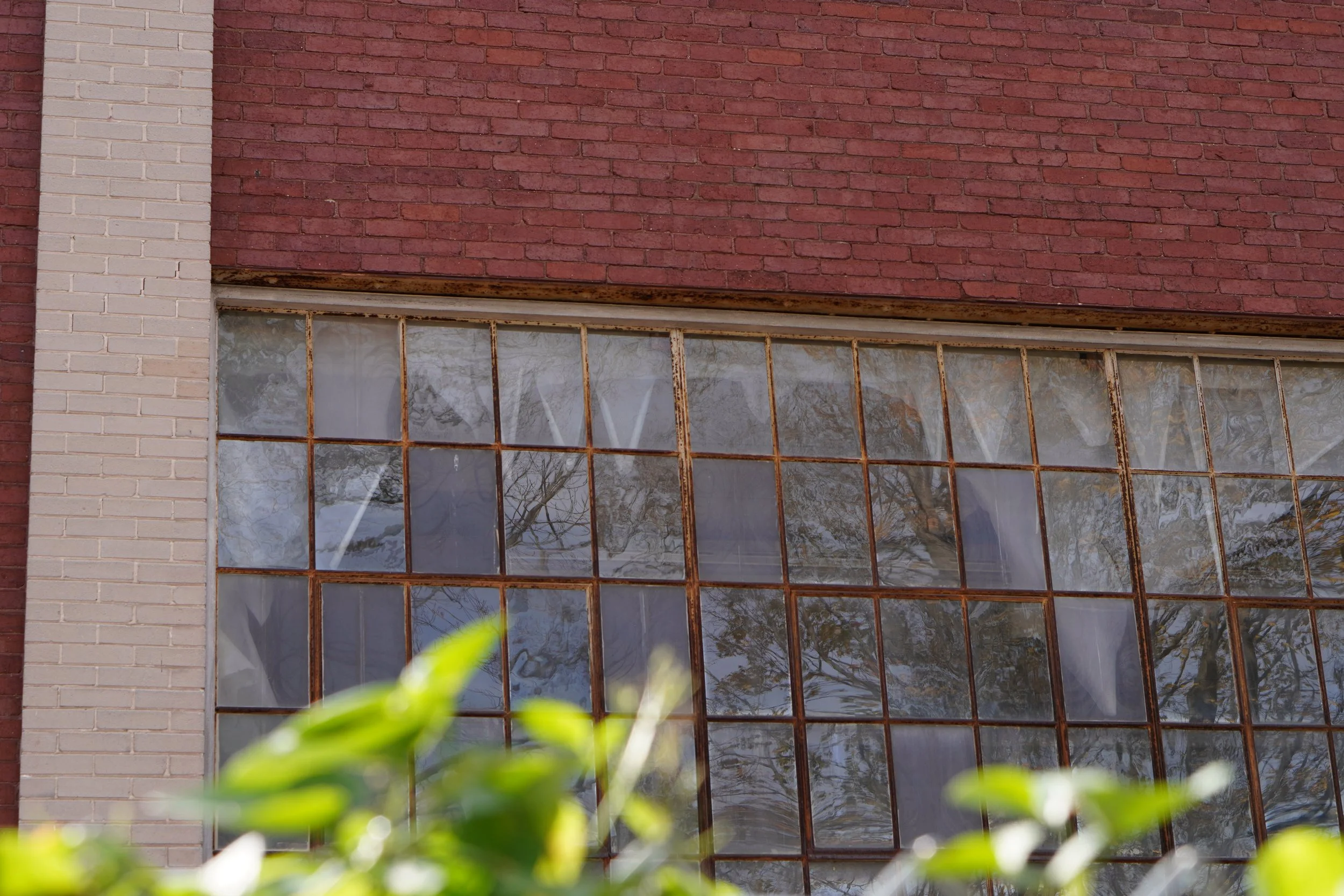 A building with a brick wall and a large window with rusted metal framing, partially obscured by a green plant in the foreground.