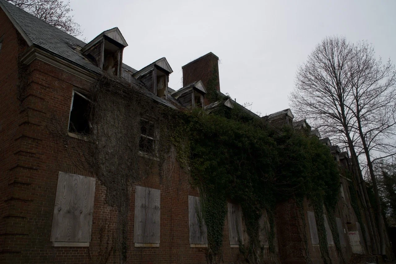 An abandoned brick building covered in overgrown vines with boarded-up windows, and a large leafless tree nearby under an overcast sky.