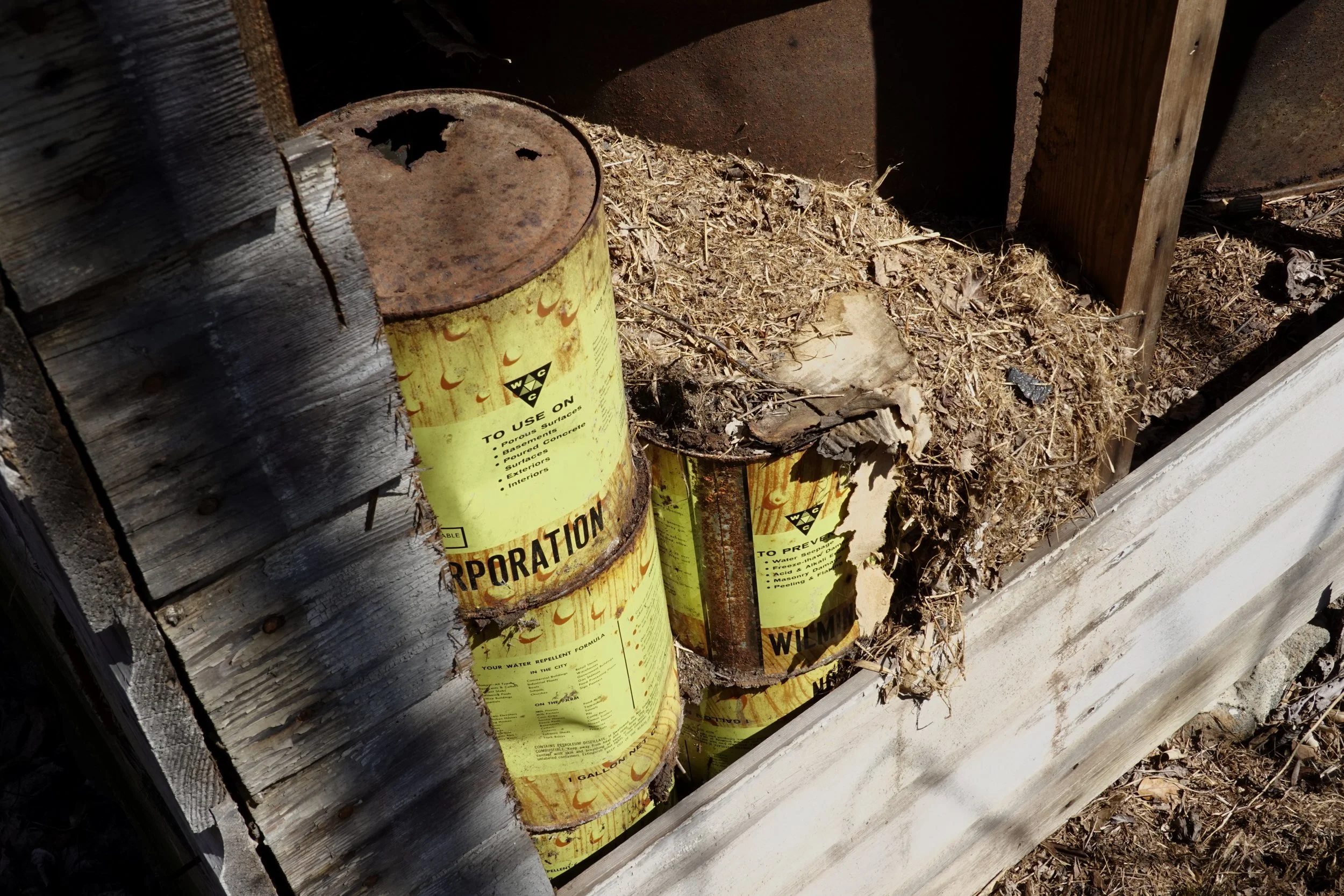 Three rusty yellow barrels with warning labels are placed against a wooden fence. The ground around them is covered with dried leaves and dirt, and there is a wooden post on the right side of the image.