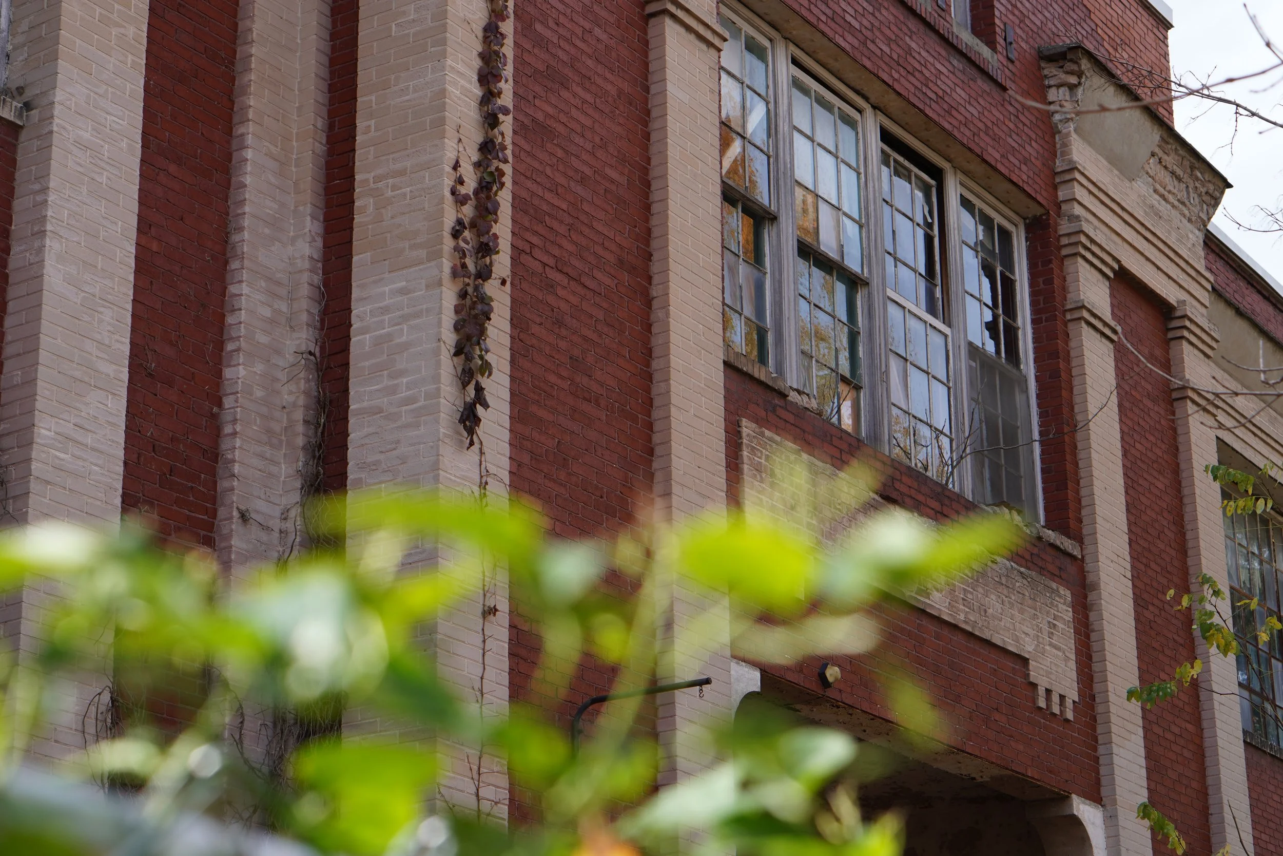Close-up of a brick building with a large window, some vine plants hanging down, and a branch with leaves in the foreground.