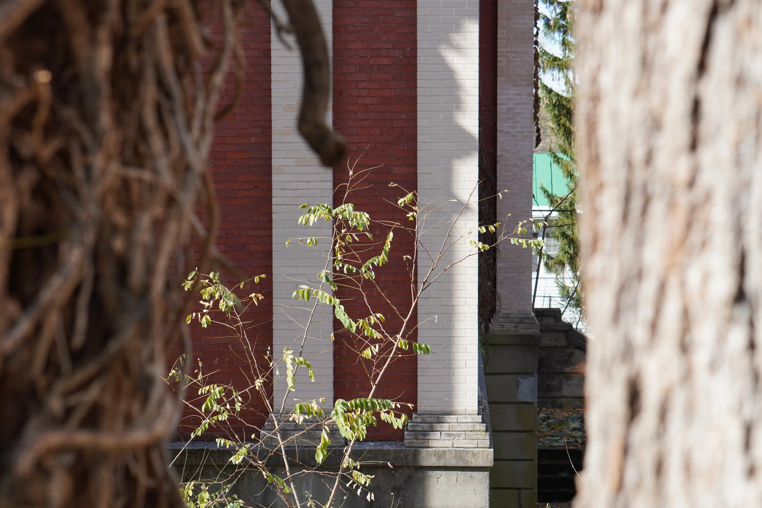 View of a brick building partially obscured by two tree trunks in the foreground, with some small plants and trees in front.