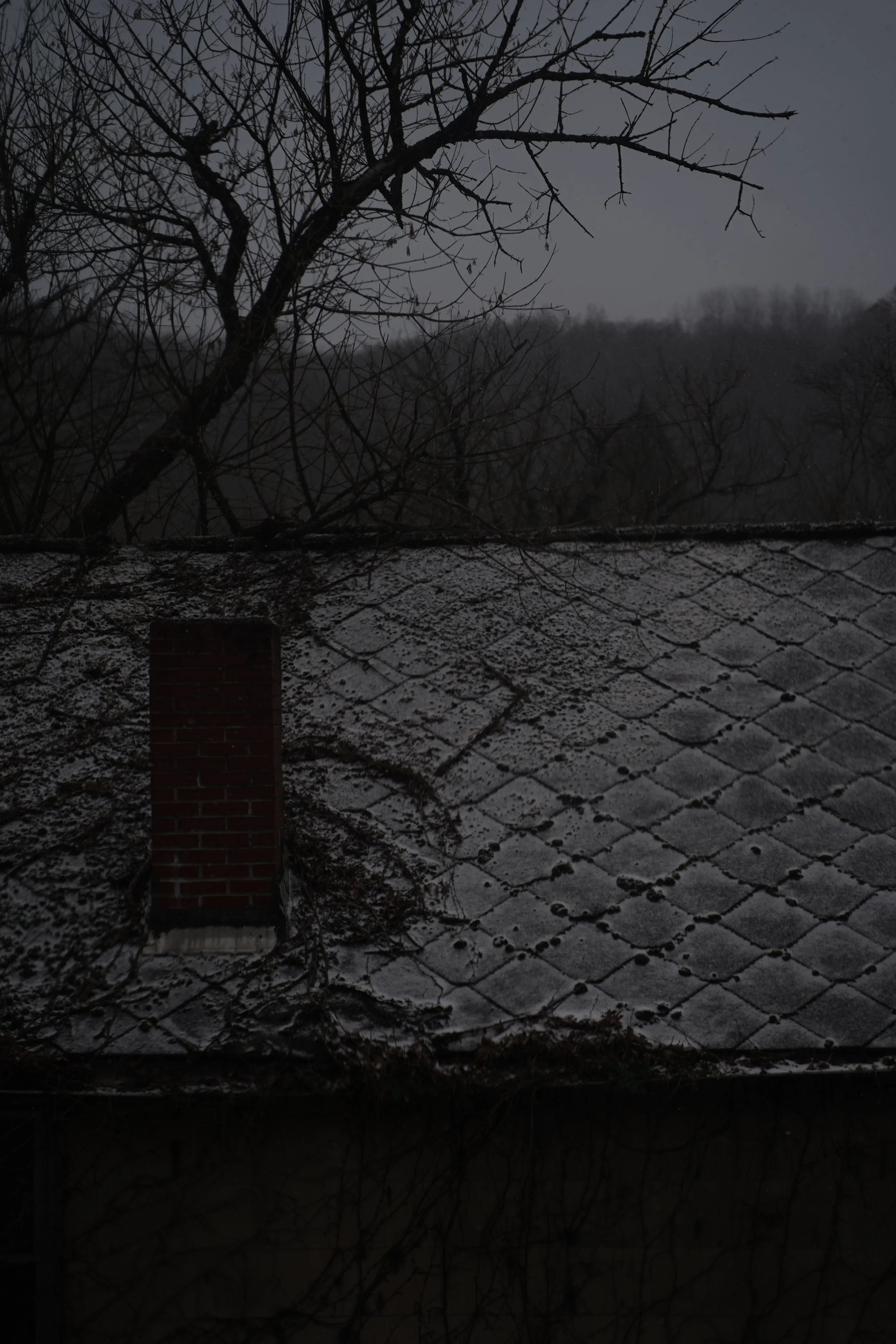 Dark, cloudy evening sky over rooftops with snow and leafless trees in the background.