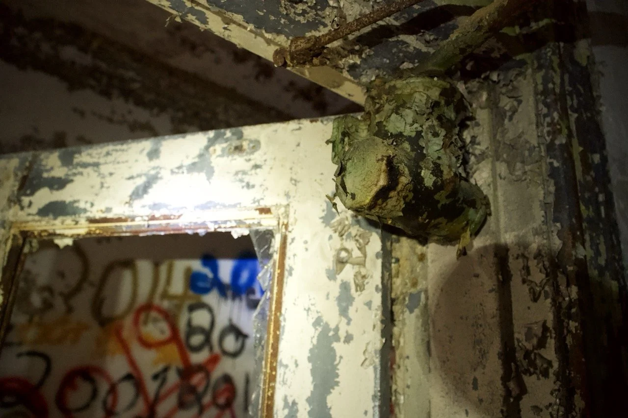 Close-up of a weathered, rusty metal structure with peeling paint and a camouflaged frog perched on it, adjacent to a small mirror reflecting graffiti inside an abandoned building.