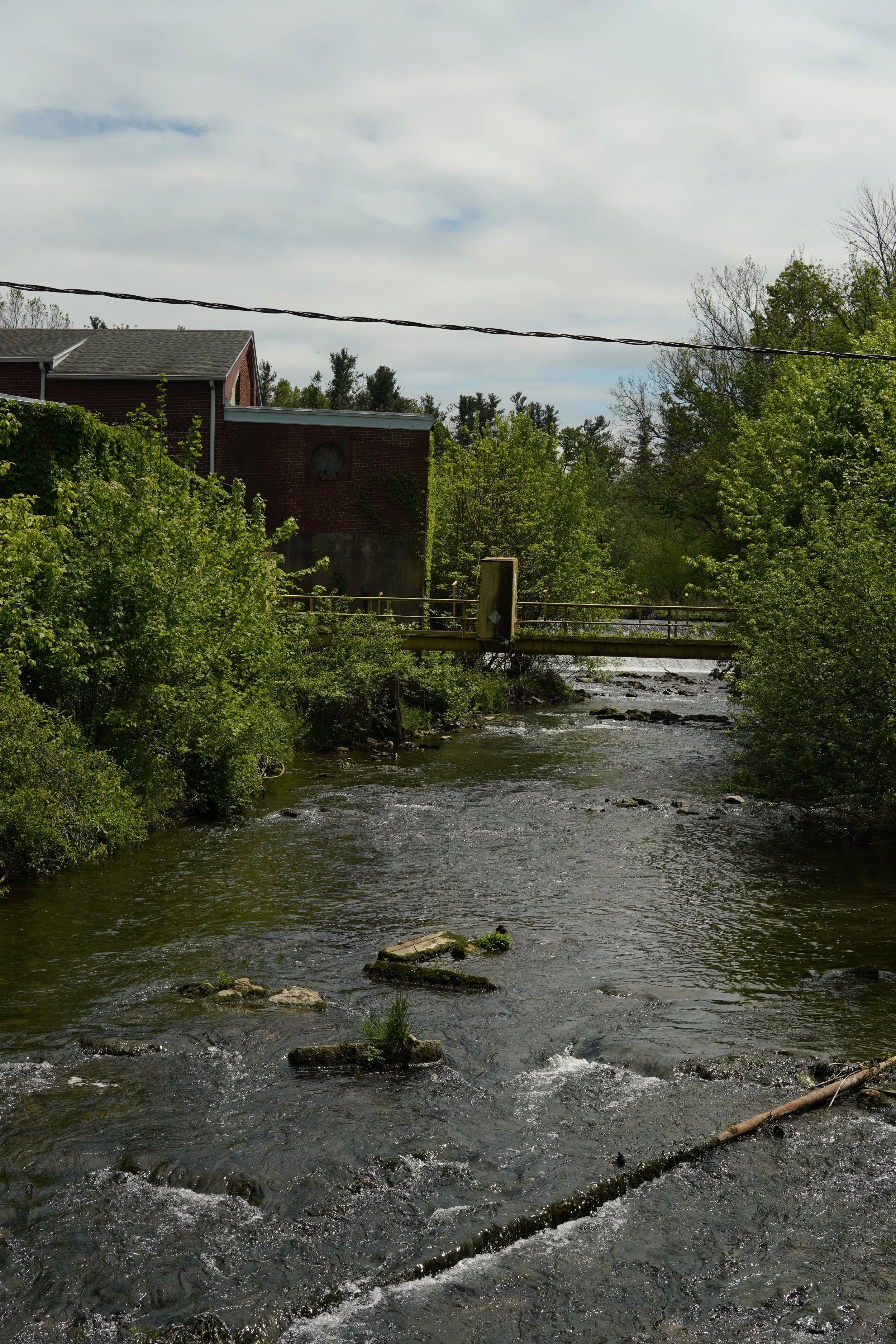 A peaceful creek flows through a wooded area with houses in the background, a bridge crosses over the creek, and a cloudy sky overhead.