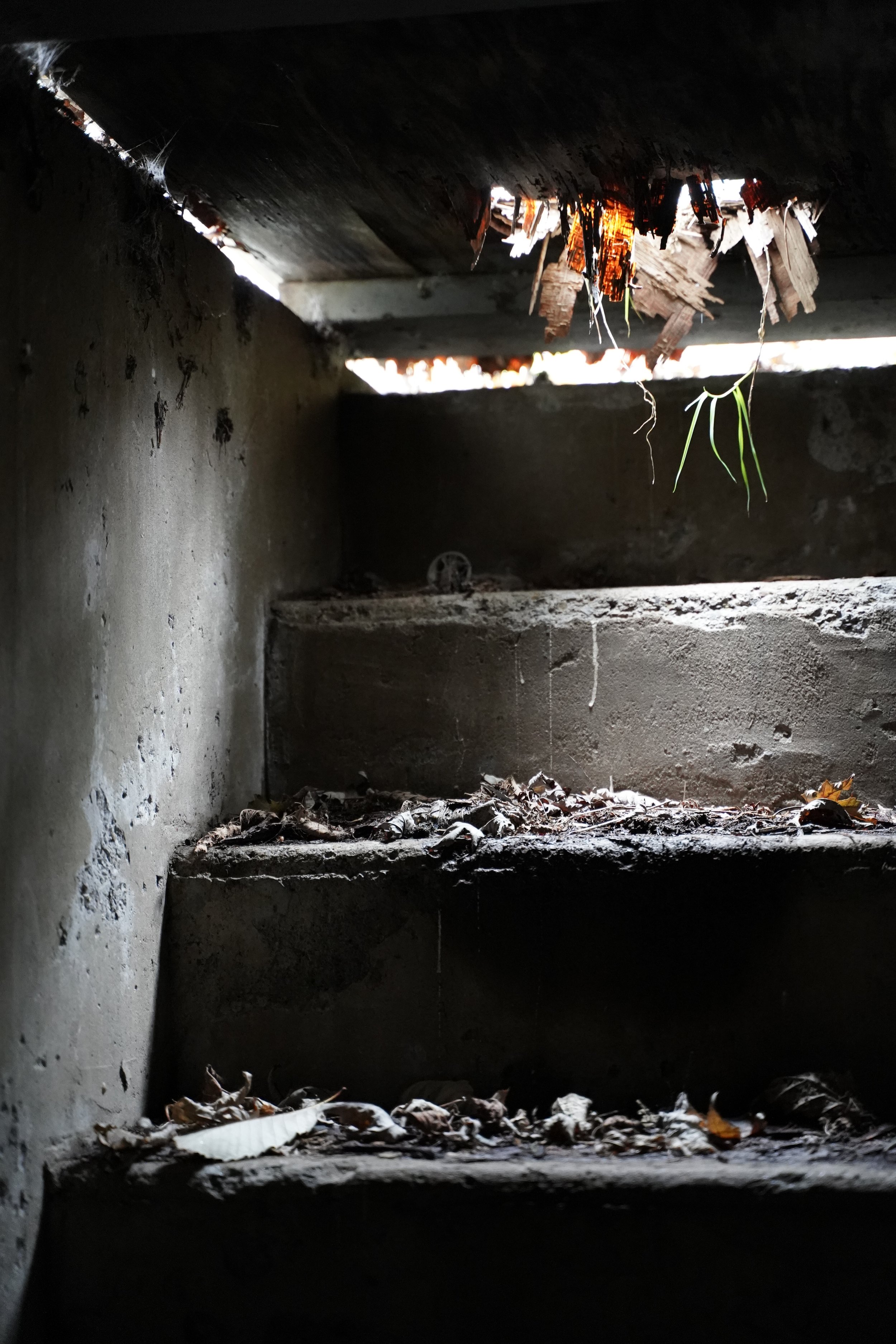 Under a wooden structure, dirt and leaves are scattered on concrete steps with light coming from openings above.