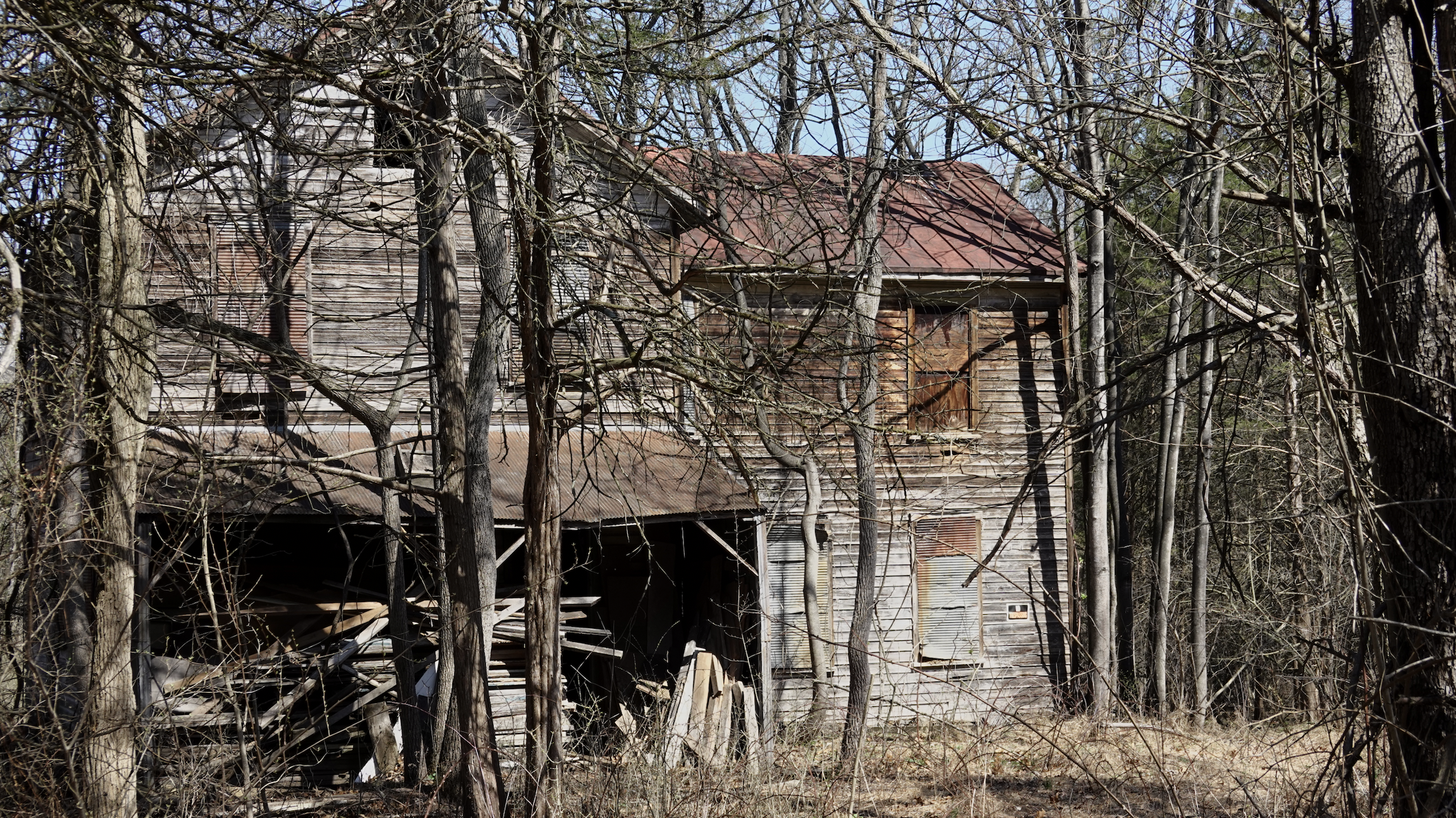Abandoned wooden house overgrown with trees.