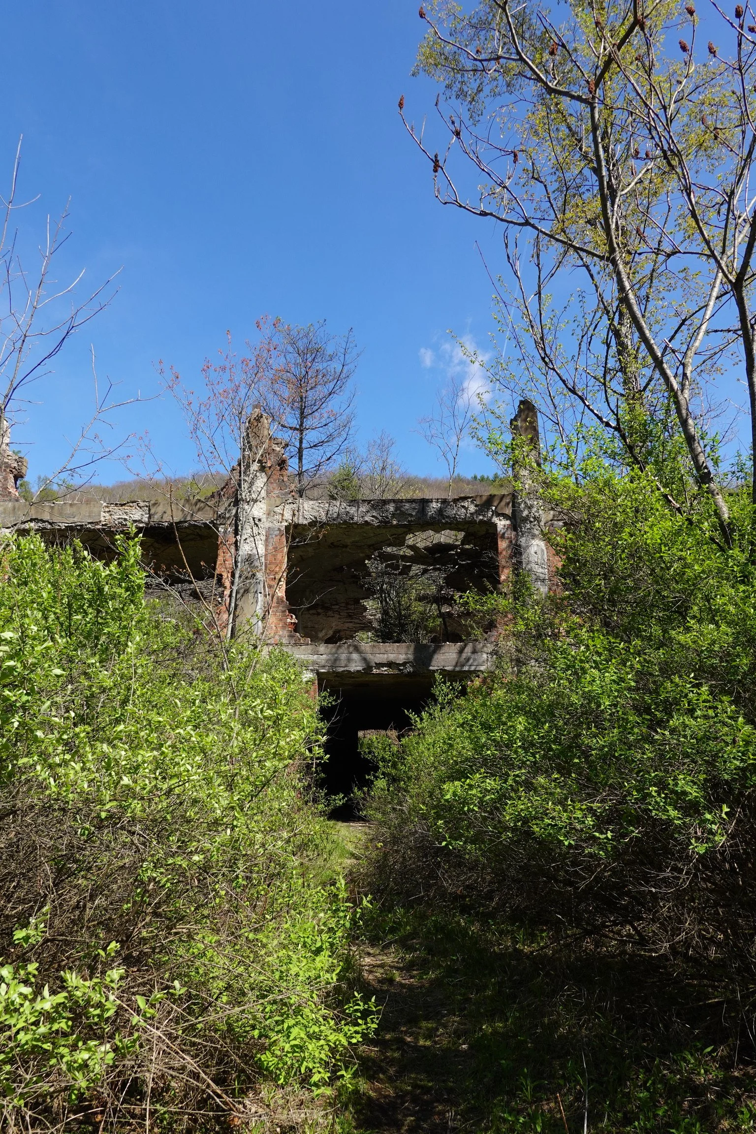 The image shows the remains of an abandoned brick structure overgrown with vegetation, with a bright blue sky and a few small clouds above.