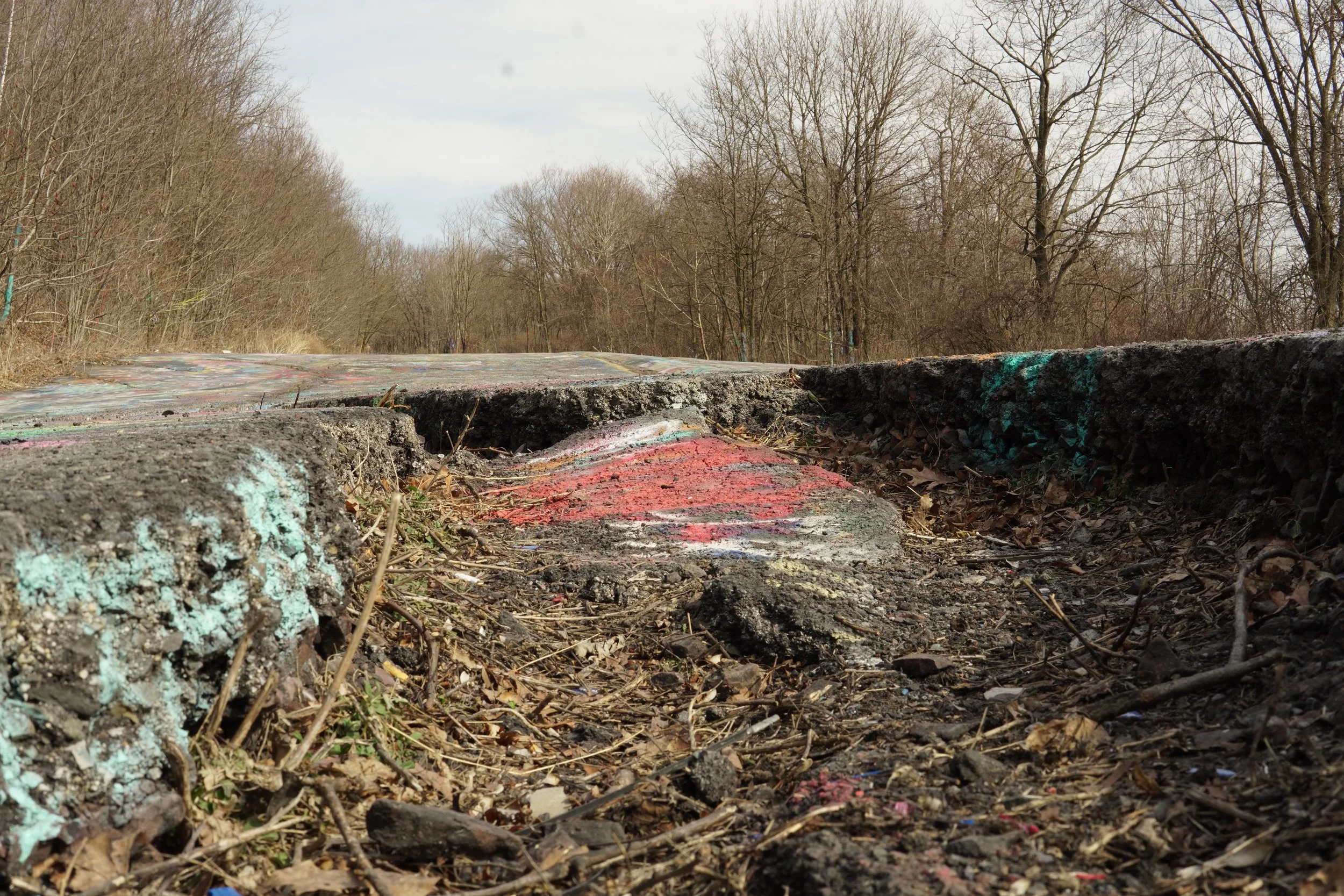 Close-up of cracked asphalt with colorful graffiti, surrounded by fallen leaves and dirt, with leafless trees in the background under a cloudy sky.