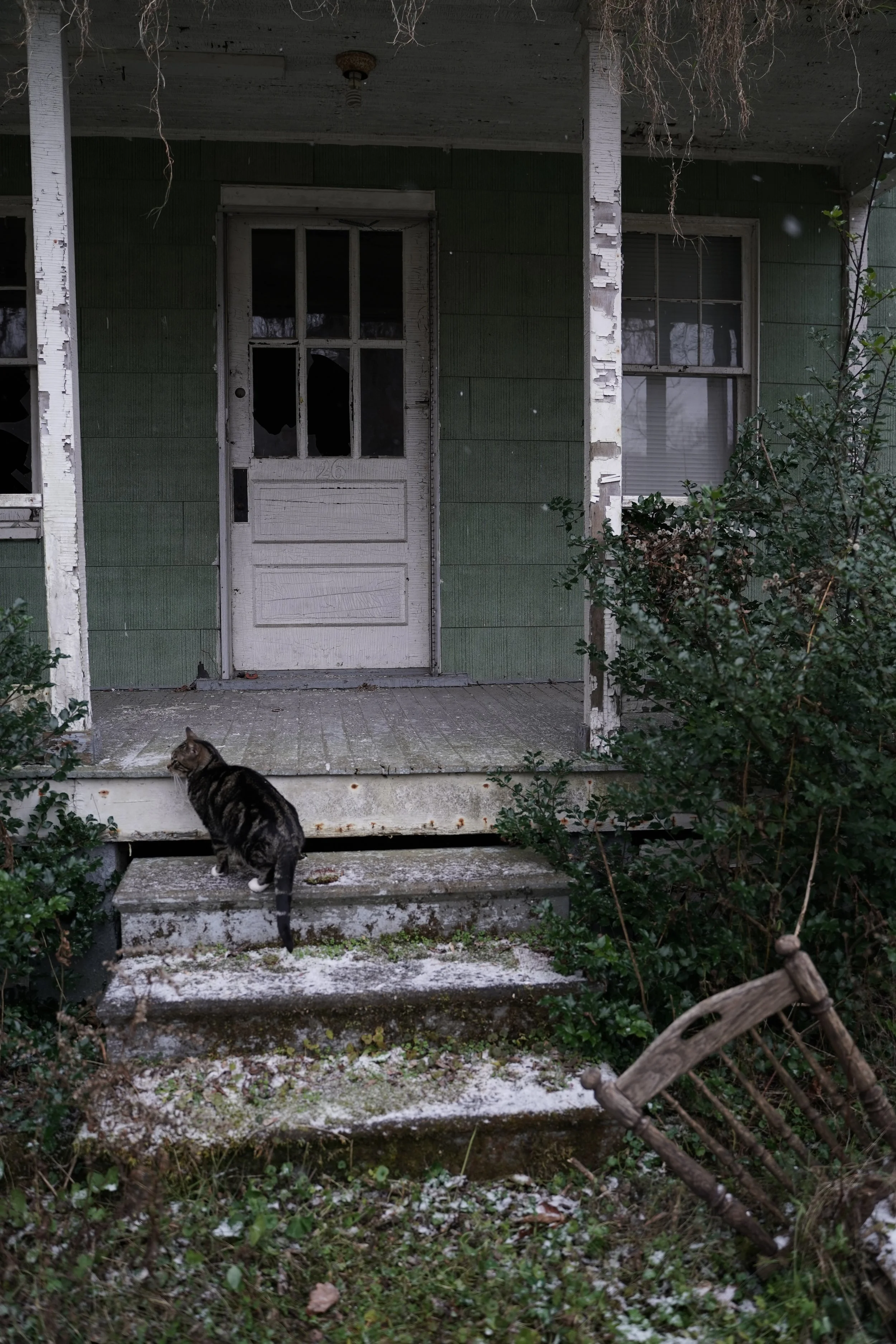 An old, abandoned house with peeling green paint, broken windows, and a damaged front door. A cat is sitting on the steps of the porch amidst a light dusting of snow, with bushes and a broken wooden fence visible in the foreground.