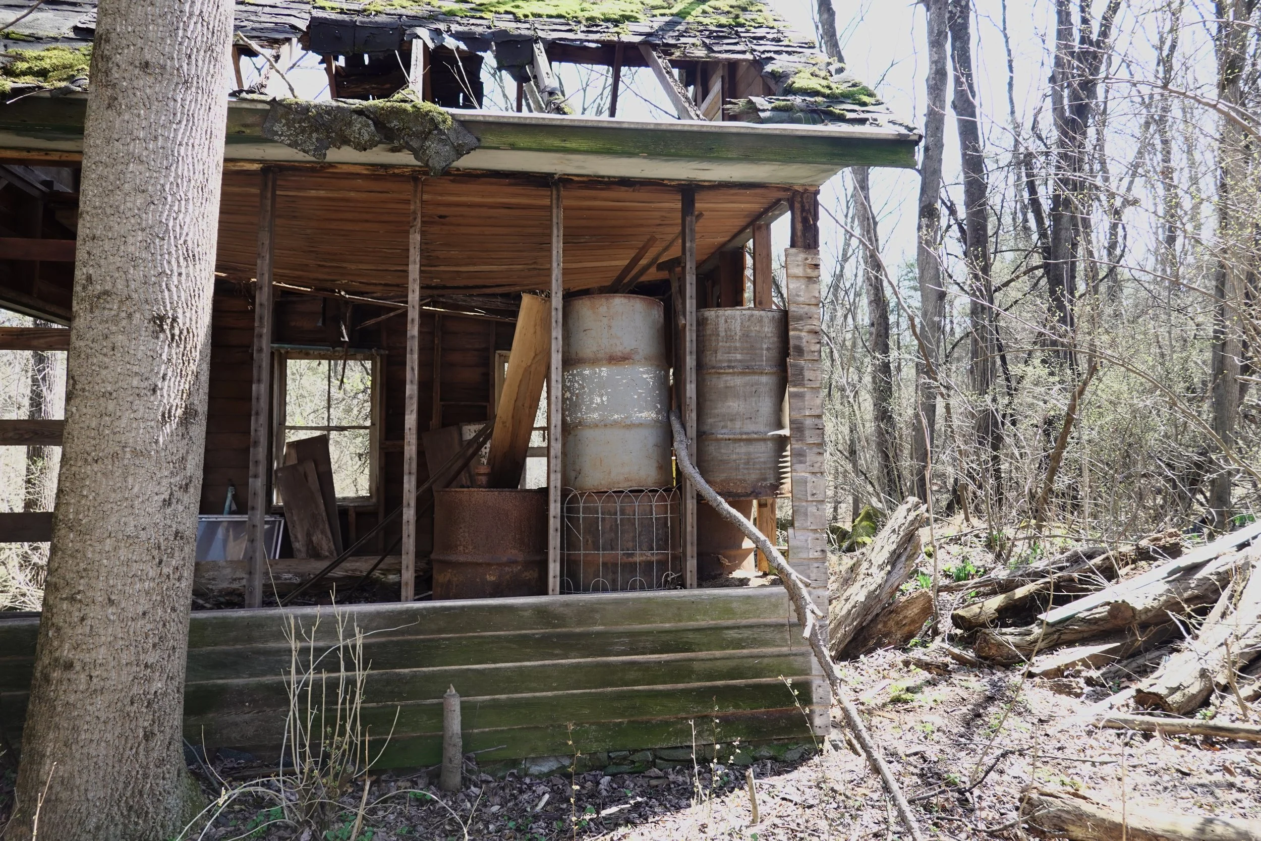 An old, abandoned wooden treehouse with a moss-covered roof and rusty metal barrels inside, surrounded by leafless trees.