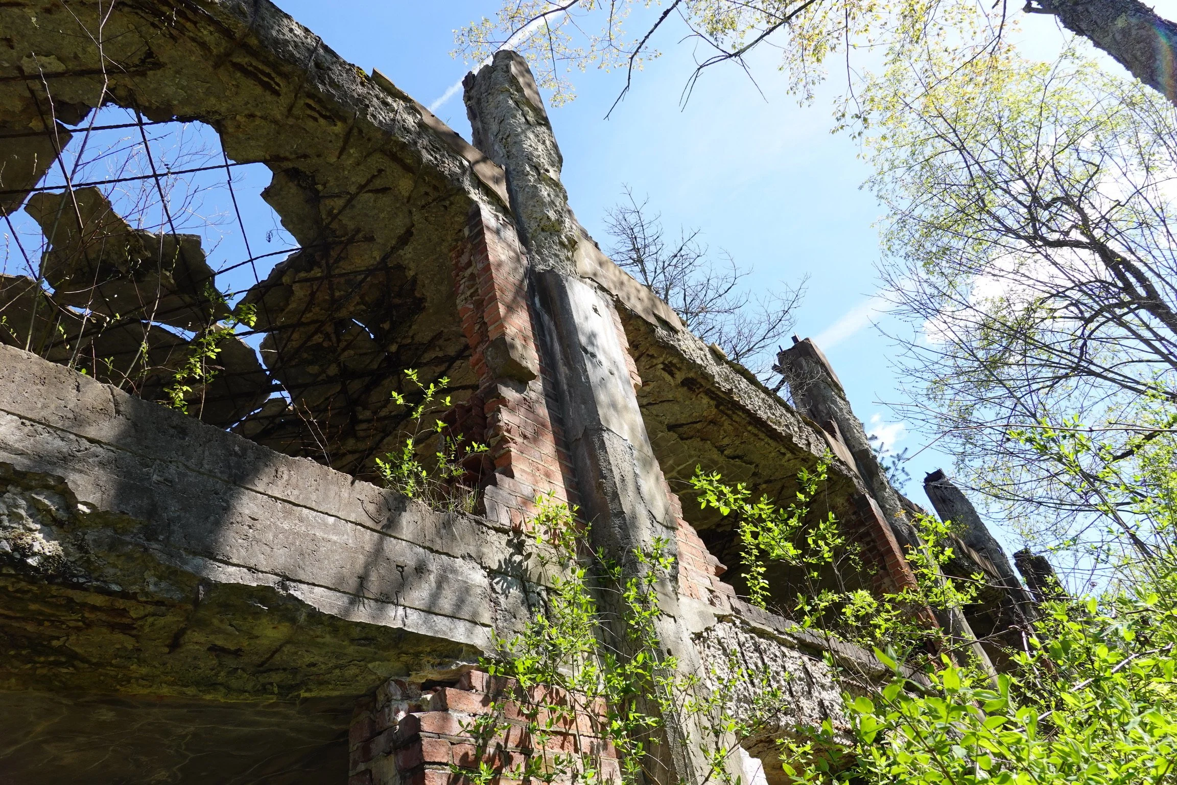 The image shows the ruins of an old brick and stone building, with parts of the walls and roof collapsed. The view is from below, looking up at the structure against a clear blue sky, with leafless and green trees surrounding it.