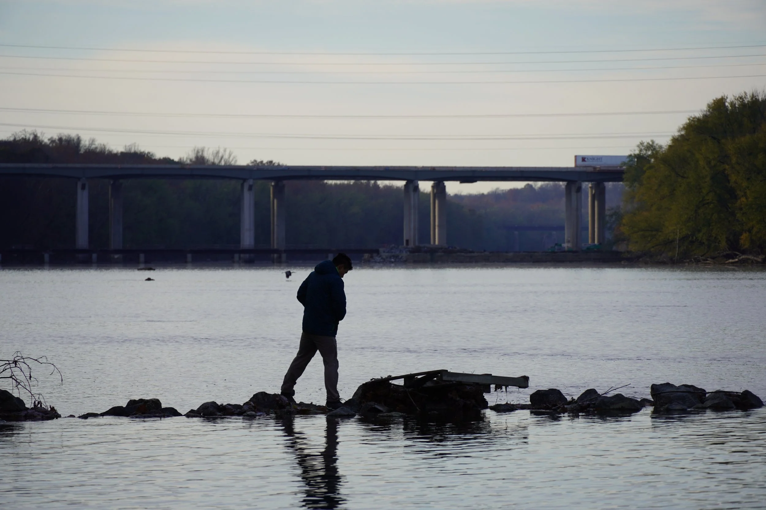 A person standing on rocks at the edge of a body of water, looking down, with a bridge and trees in the background during dusk or dawn.