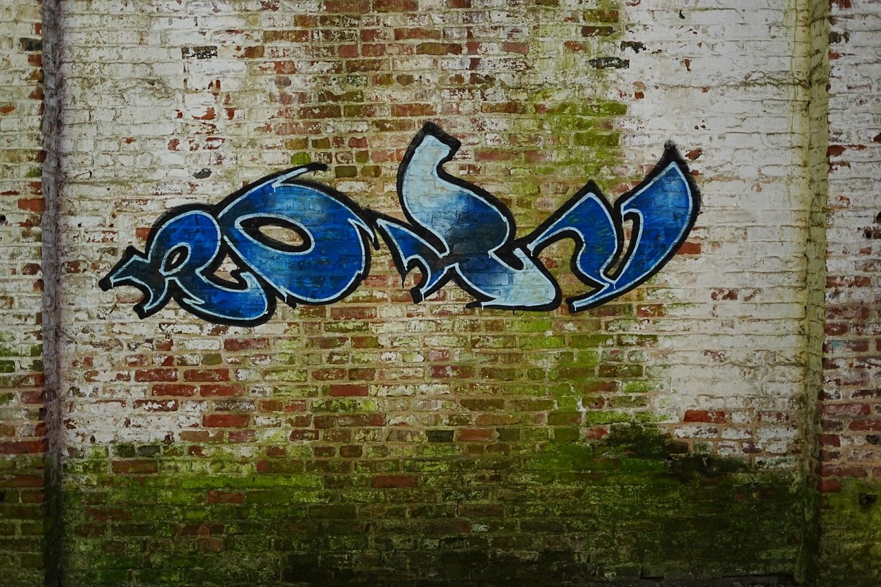 Graffiti art spelling out the word "Ron" in stylized blue and white letters on a weathered brick wall with moss and dirt.