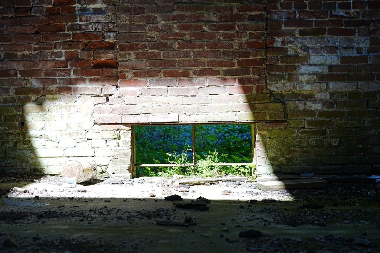 A small rectangular opening in a brick wall showing green plants outside, with dirt and debris on the floor in front of the opening.