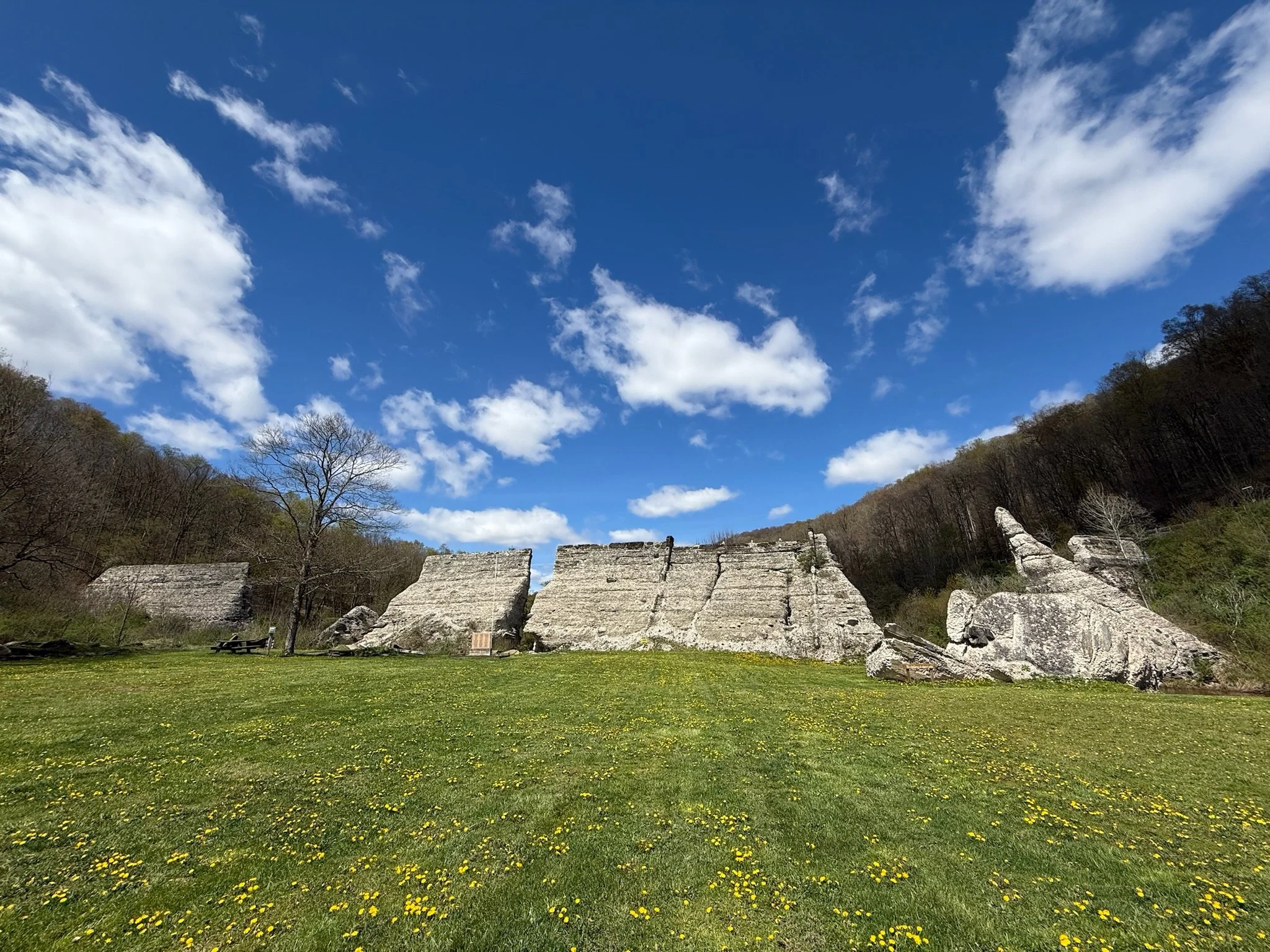 Scenic view of ancient stone ruins on a grassy landscape with yellow flowers, surrounded by trees, under a blue sky with scattered clouds.
