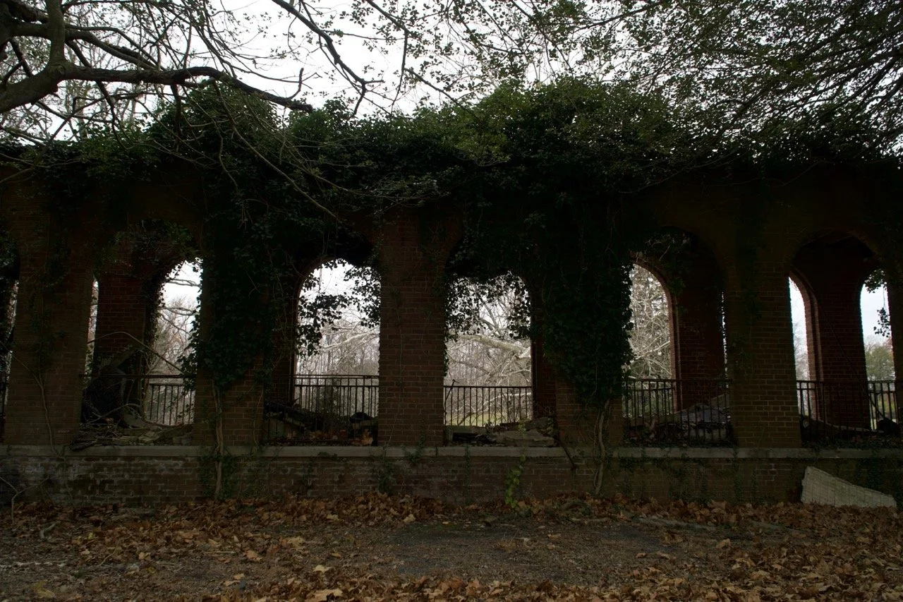 An abandoned structure made of brick with tall arched openings, overgrown with ivy, situated in a wooded area with leaf-covered ground.