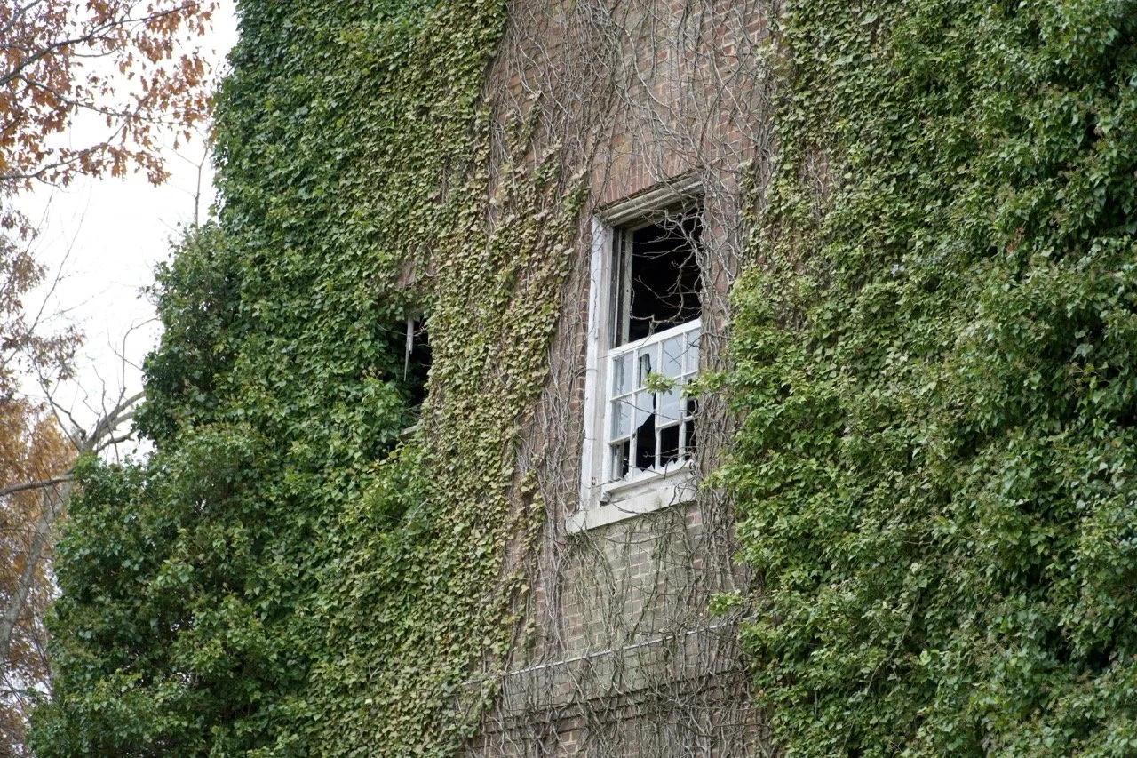 An old brick building covered in green ivy with a broken window on the second floor.