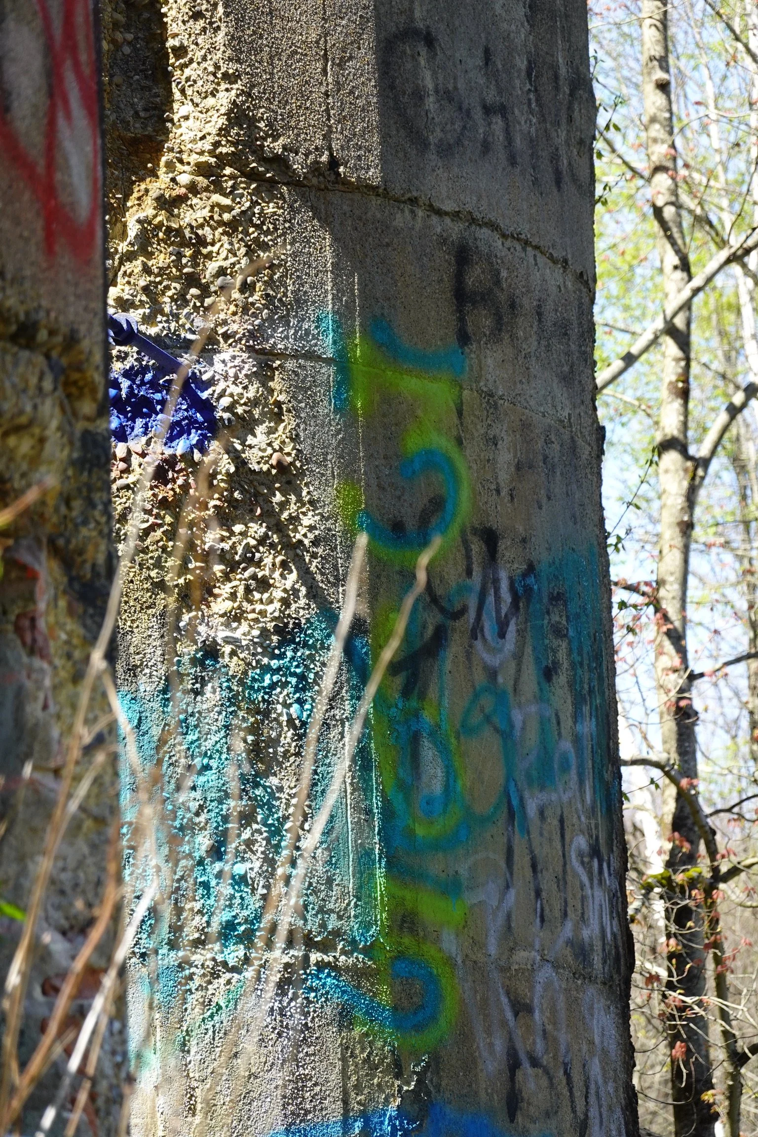 A concrete wall with graffiti and spray paint, with trees and foliage in the background, and wild grass in the foreground.