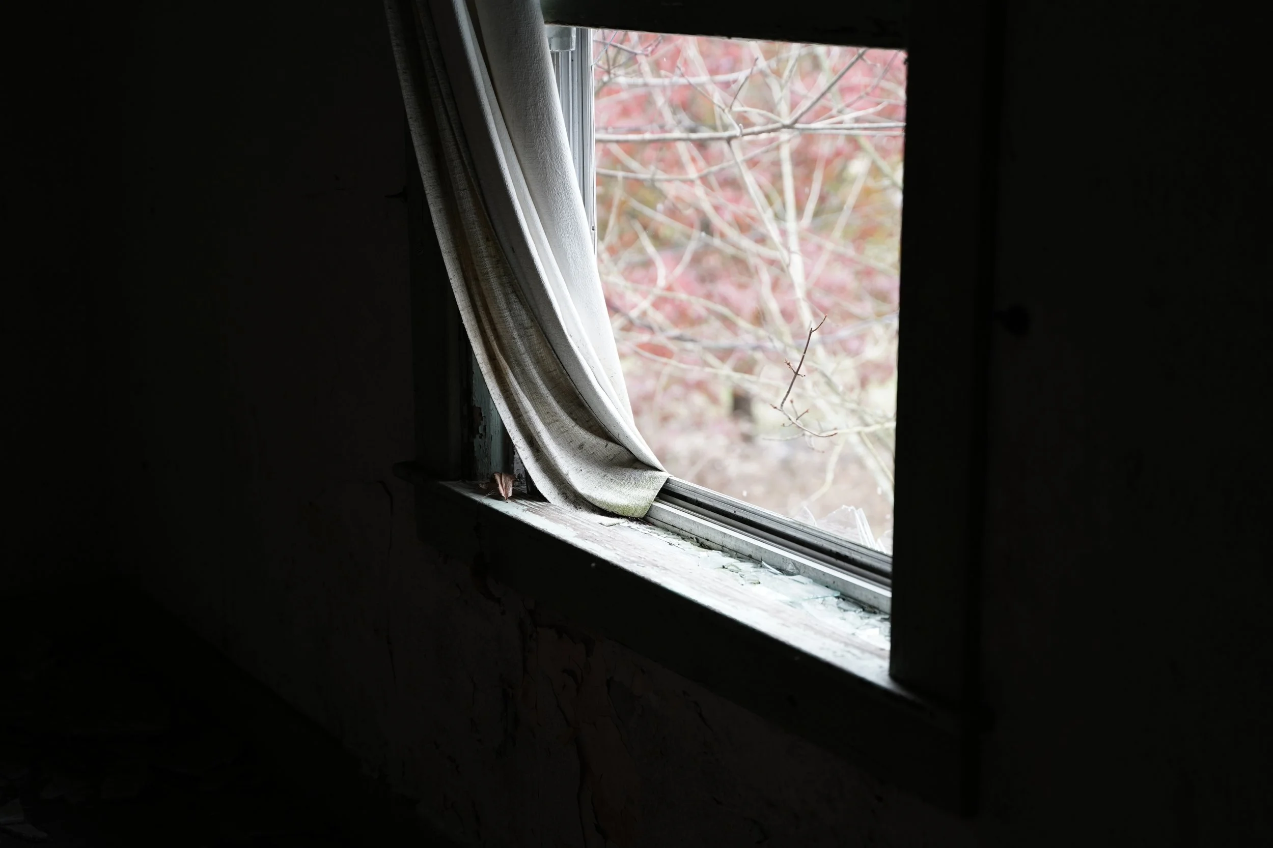 A small, partly broken window with a white curtain, looking out onto tree branches with reddish leaves.