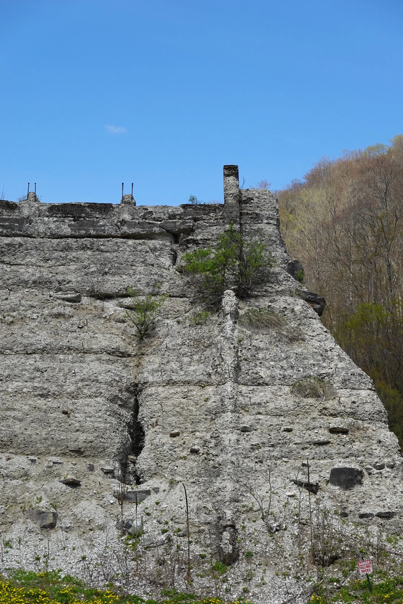 Rock formation with a warning sign at the bottom right corner that reads 'Danger Falling Rocks' in red and white, trees on the right and some small plants and yellow flowers at the bottom.