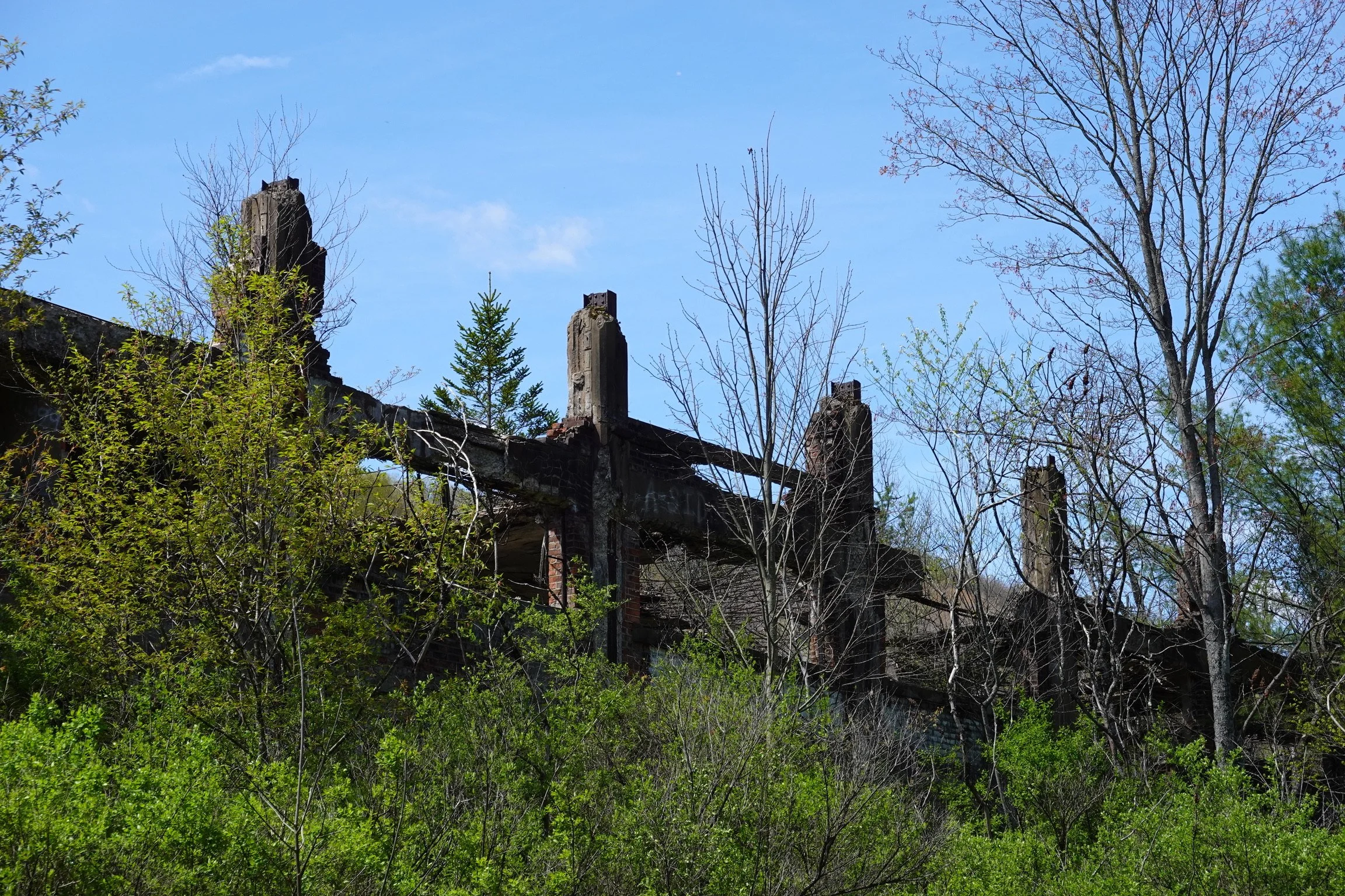 Ruined building with brick walls and chimney, surrounded by trees and green bushes, under a blue sky.