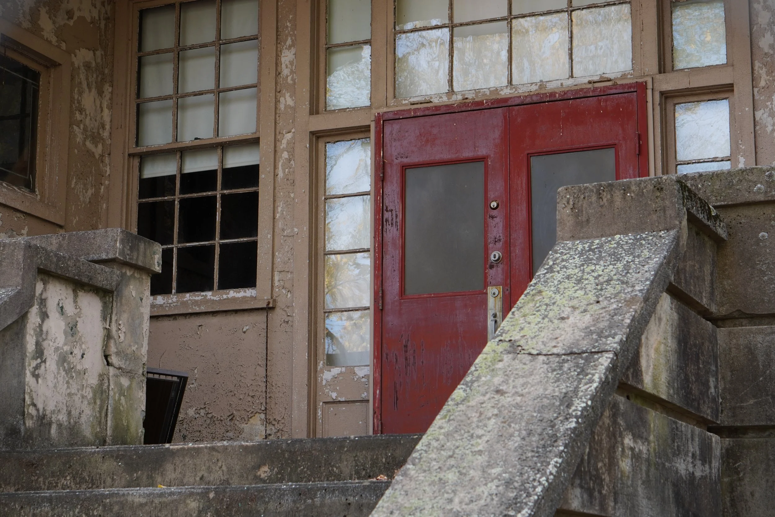 An old, weathered building with cracked paint and broken windows, with a red door, stone steps, and a moss-covered concrete railing.