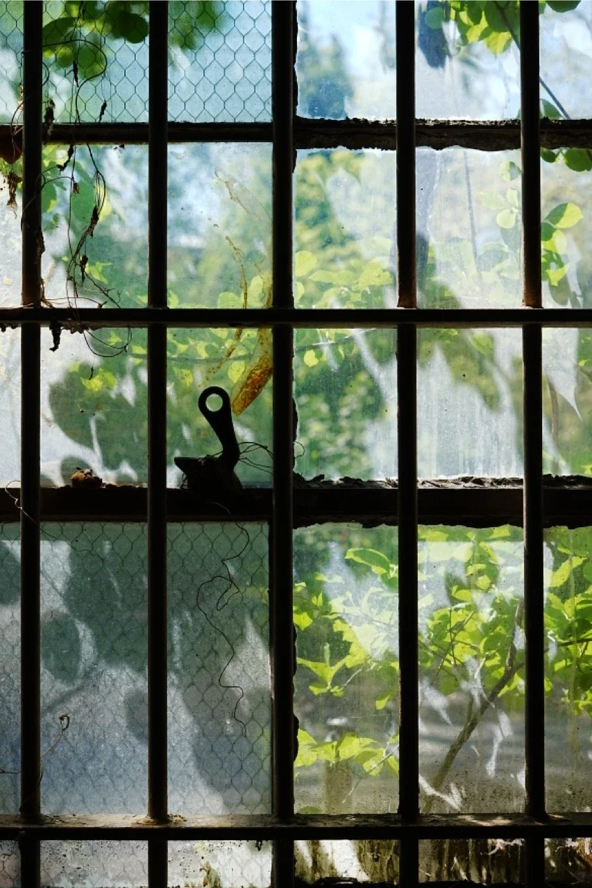 View through a rusty metal window with bars, showing green leaves and sunlight outside.