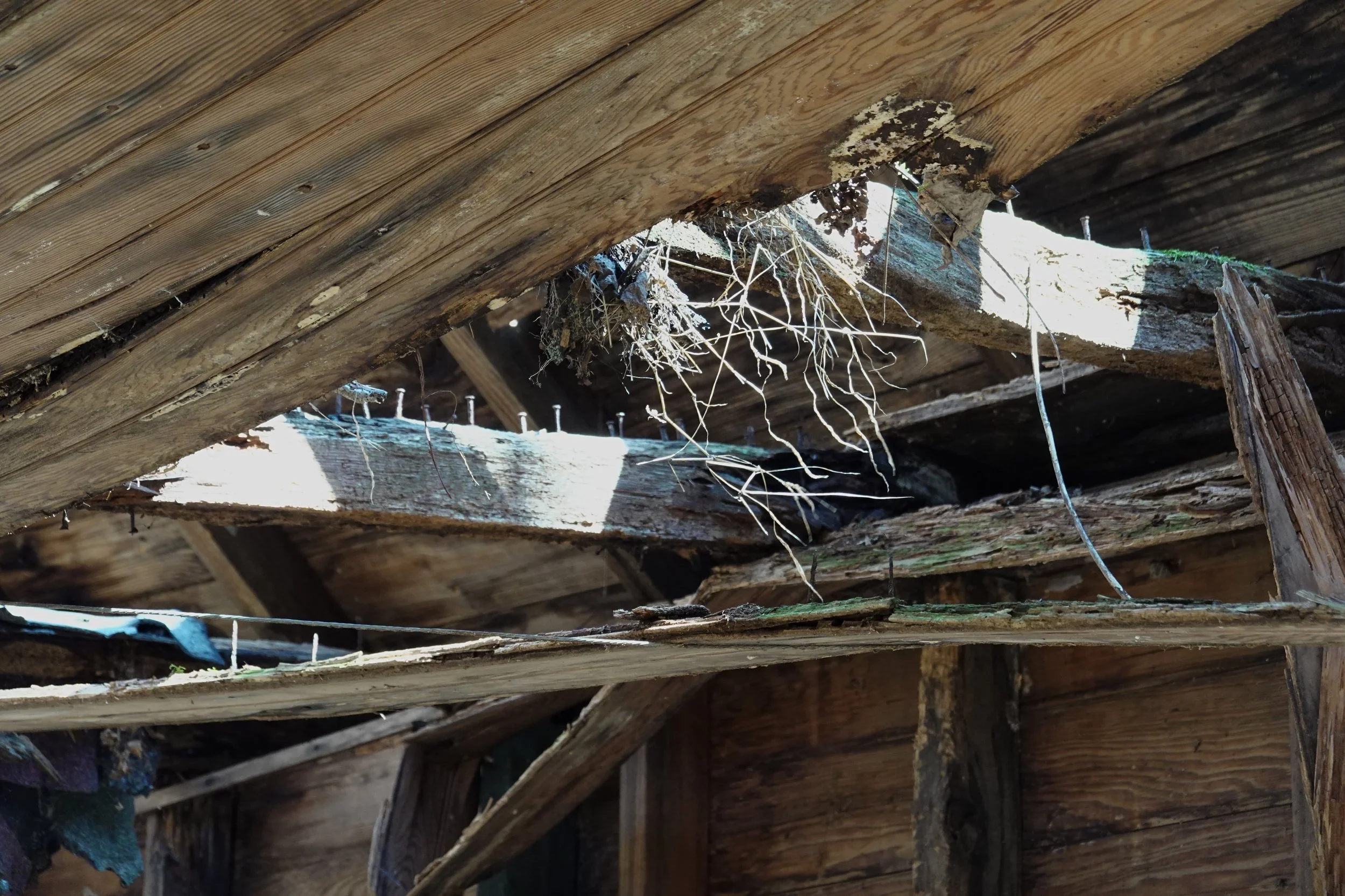View of the underside of a wooden structure with visible beams, nails, debris, and some natural light coming through gaps.