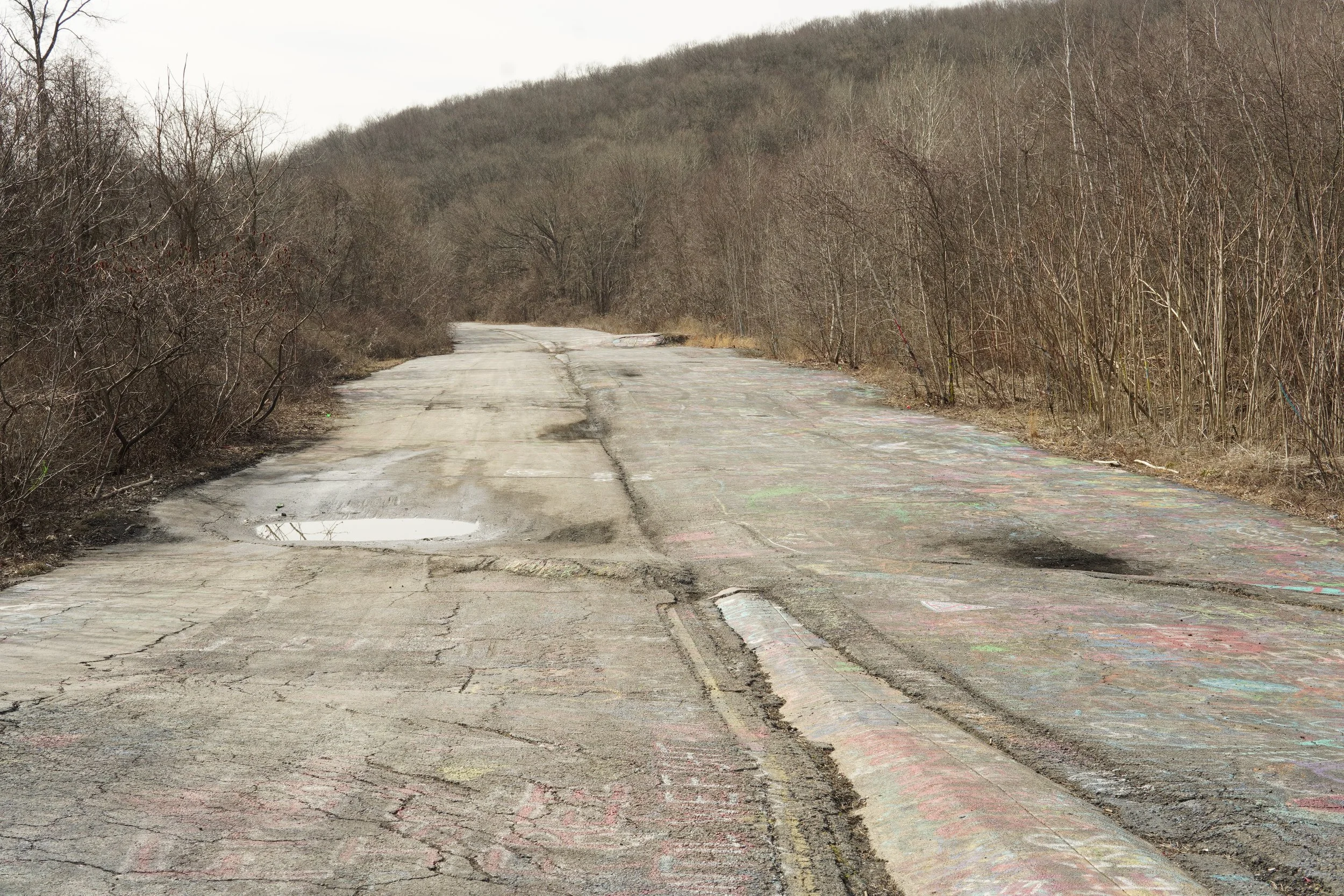 A cracked, paved road running through a wooded, hilly area with leafless trees.