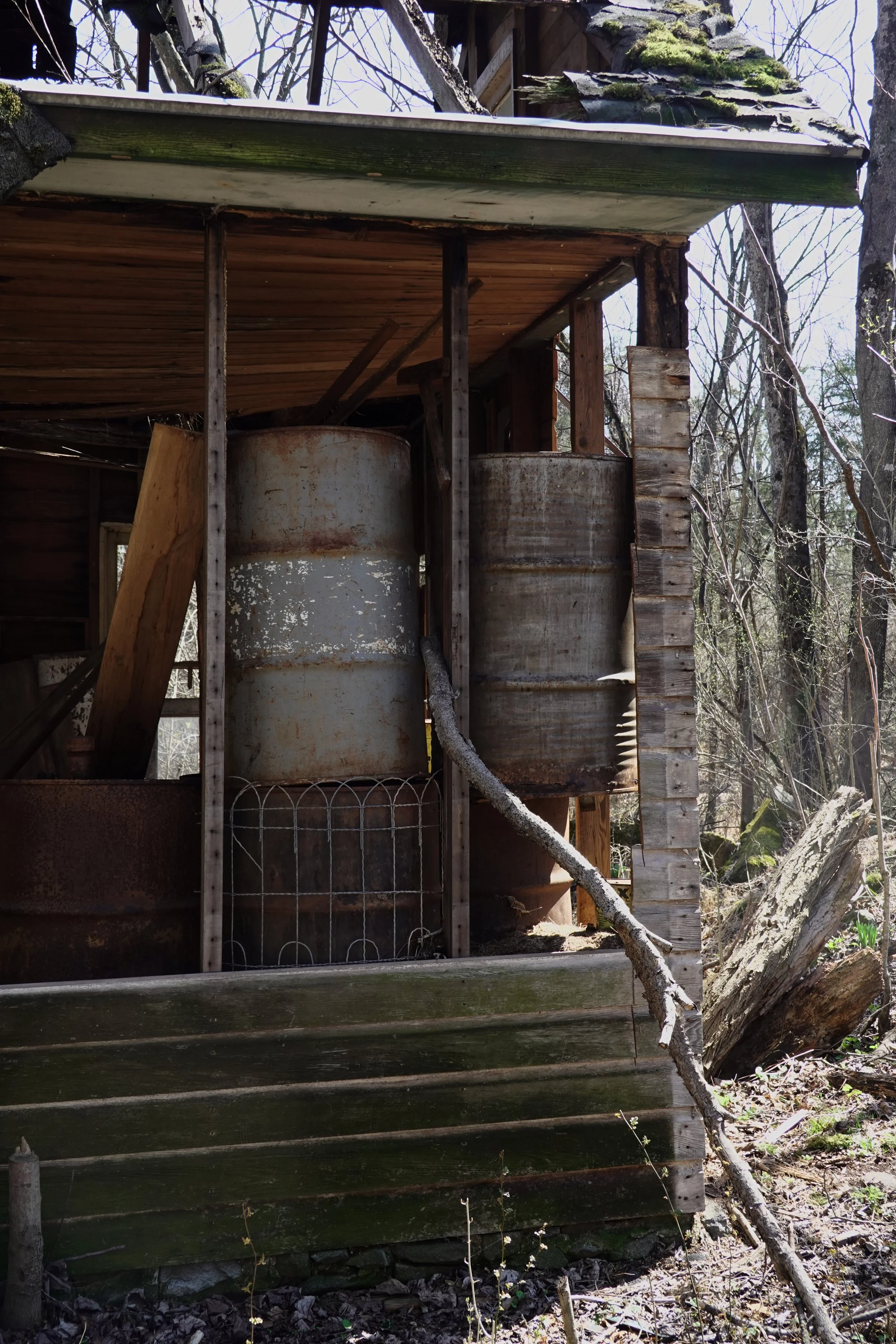 Old, dilapidated wooden shed with rusted metal barrels inside, surrounded by leafless trees and overgrown vegetation in a wooded area.