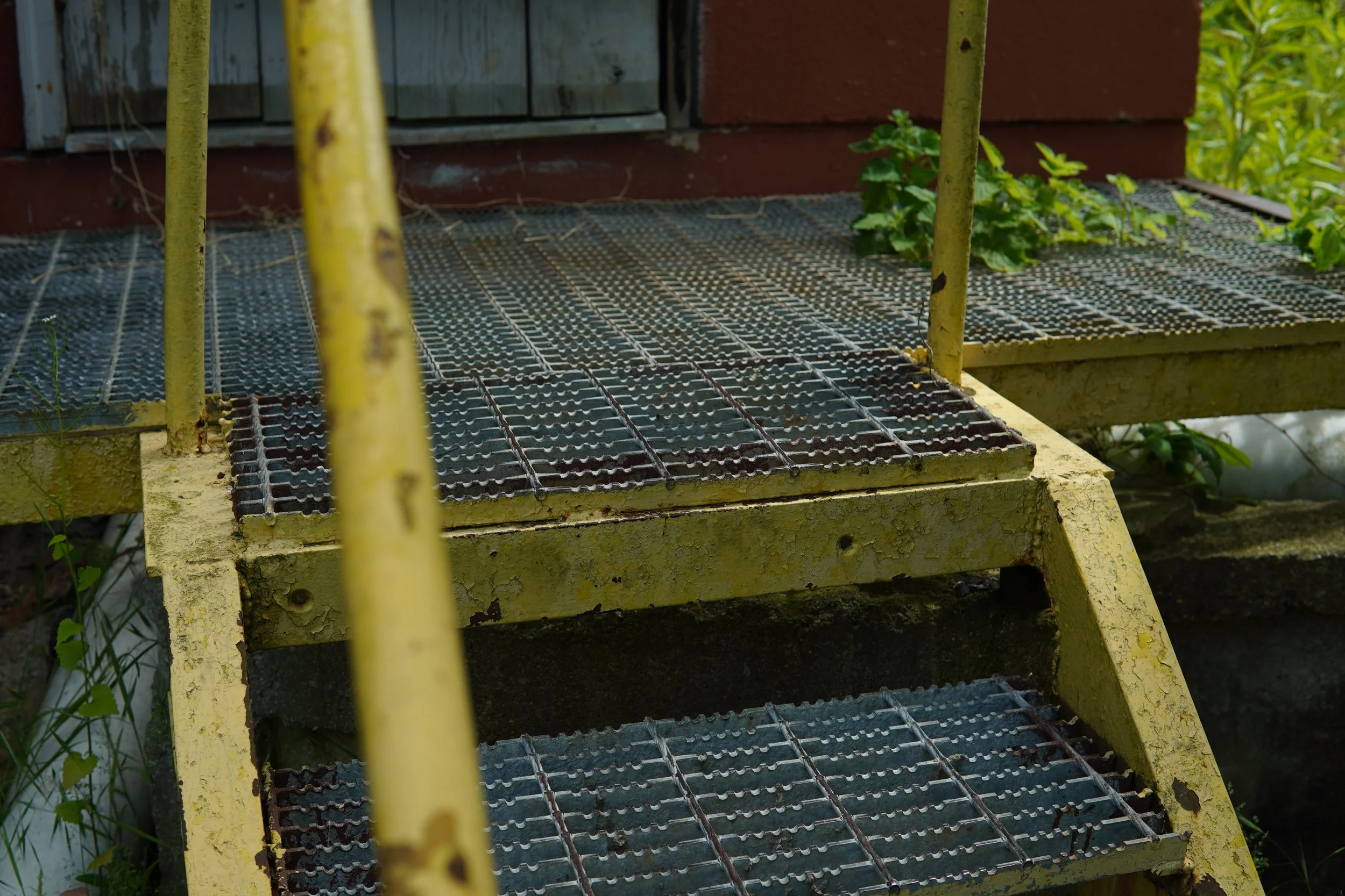A yellow, weathered metal staircase with black anti-slip treads, surrounded by green plants, leading up to a building with a red brick wall and a window.