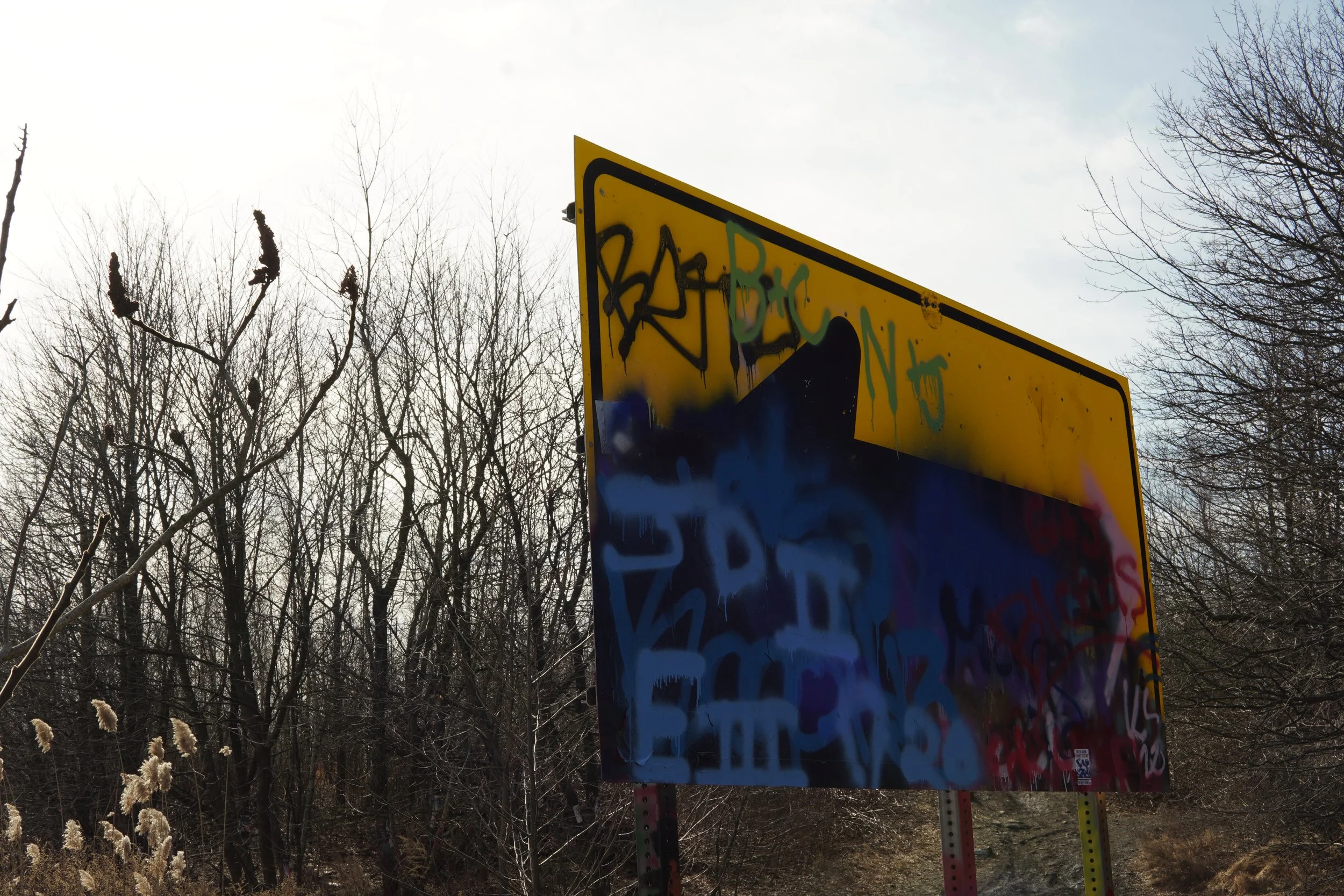 Graffiti-covered road sign with bare trees in the background under a cloudy sky.