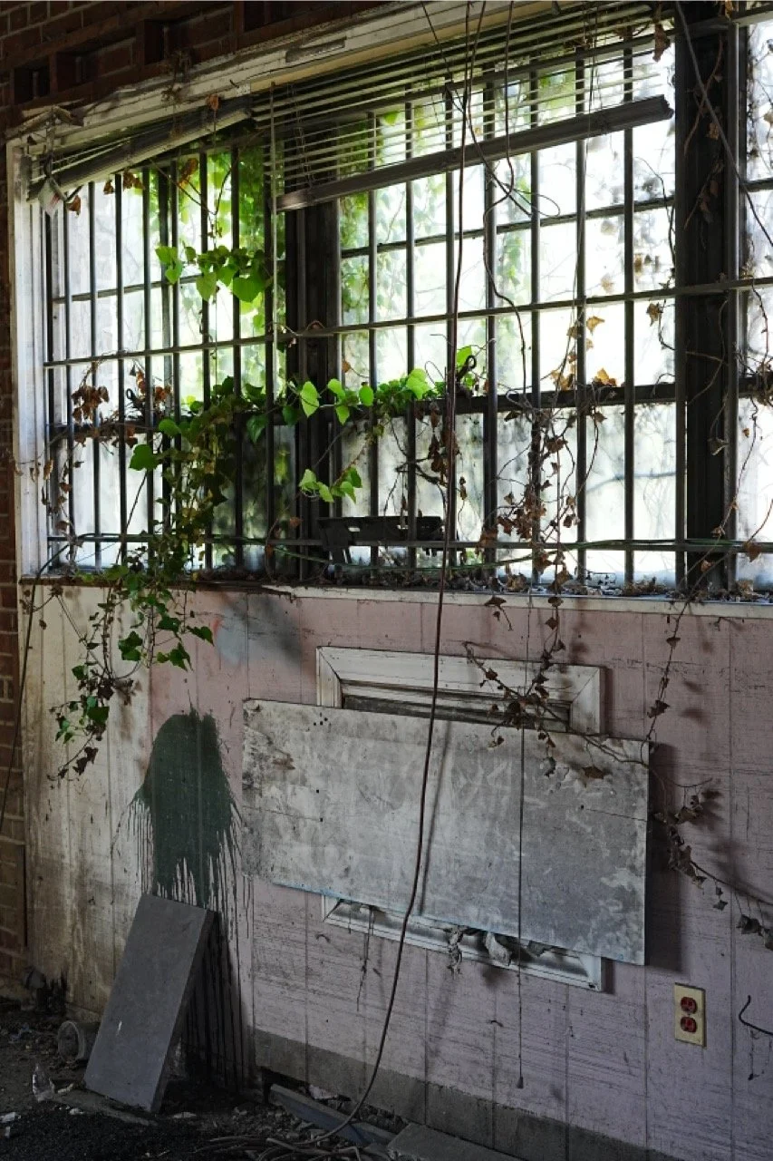 An abandoned building interior with a dirty, broken window with iron bars, overgrown with dried and green vines. The wall beneath the window is stained, with peeling paint and a large, shaky board blocking a vent or opening. There are scattered debri