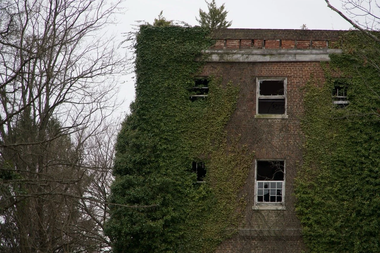 An old brick building covered with green ivy, with several broken and missing windows, and leafless trees in the foreground.