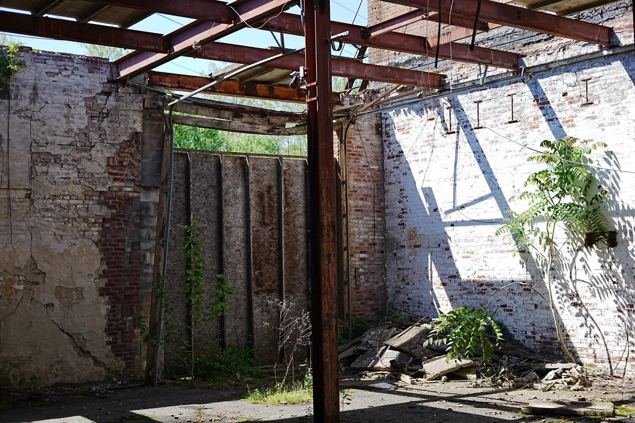 An abandoned building partially demolished with exposed brick and wooden beams, plant growth inside, and sunlight casting shadows on the white brick wall.