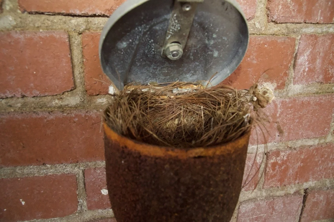 An empty birdhouse with a rusty exterior and a nest of dry twigs inside, mounted on a brick wall.