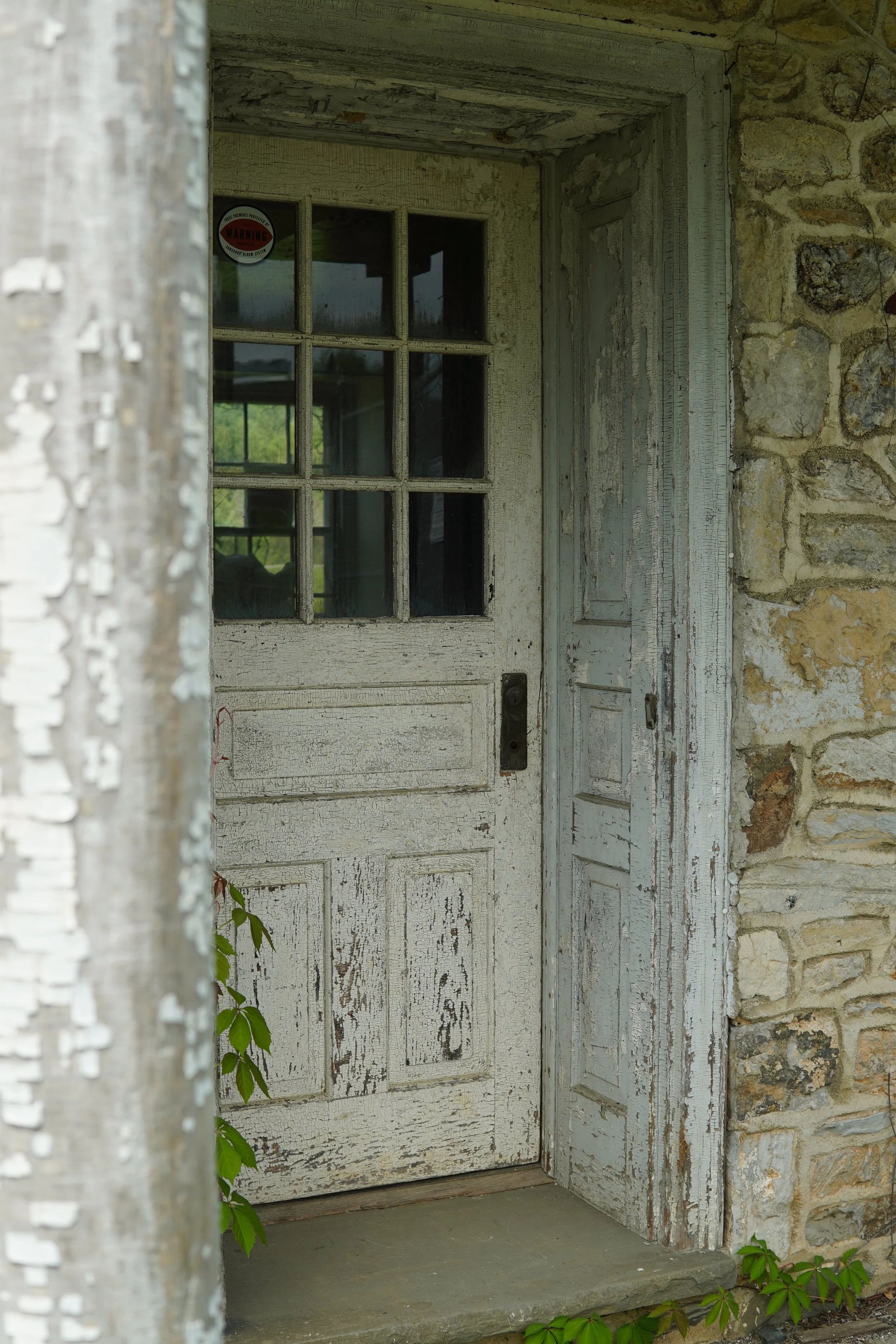 Old, weathered white wooden door with a windowpane section, set in a stone wall, with some greenery at the base and a tree trunk partially visible on the left side.
