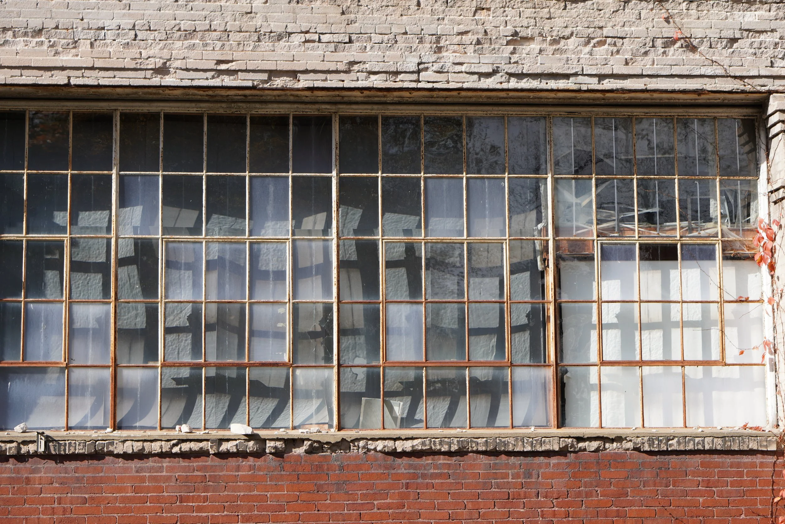 A large rectangular window with multiple small panes in a rusted metal frame, set in a white brick wall with some vines on the right side.