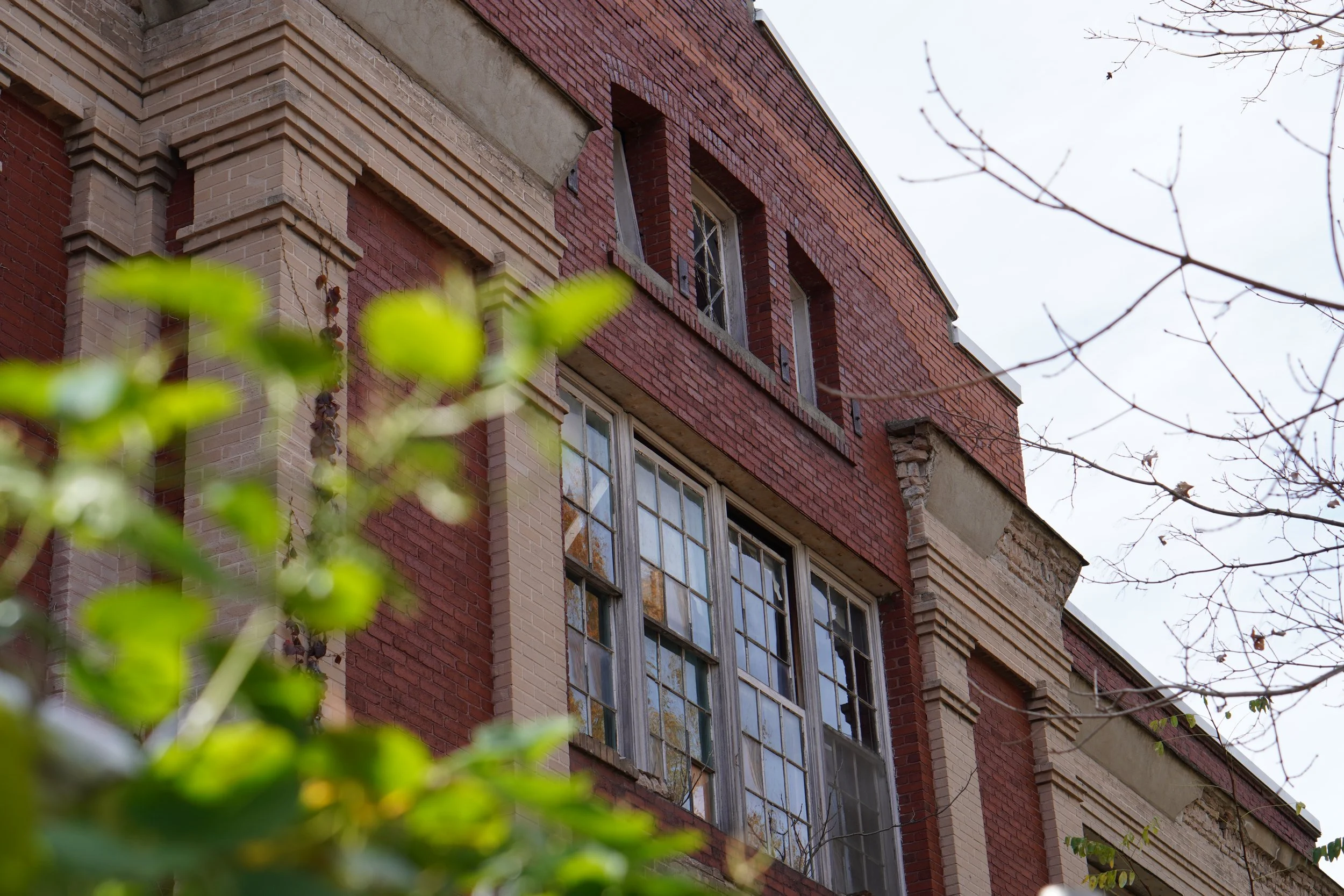 Close-up of a red brick building with large multi-pane windows and decorative brickwork, partially obscured by green foliage and leafless tree branches.
