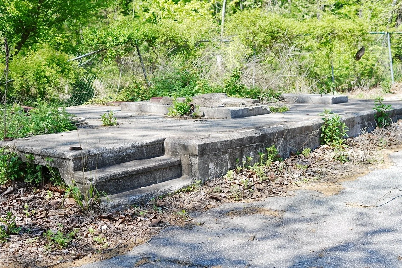 Abandoned concrete structure with steps surrounded by overgrown plants and trees, situated next to a cracked asphalt road.